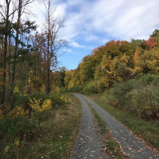 Campground w/Views of Taconic Hills - Hipcamp in Canaan, New York