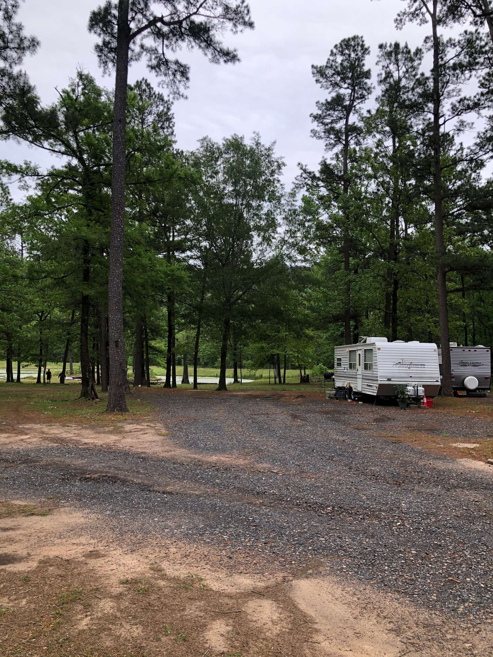 Into the WYLD Campgrounds Hipcamp in Boles, Arkansas