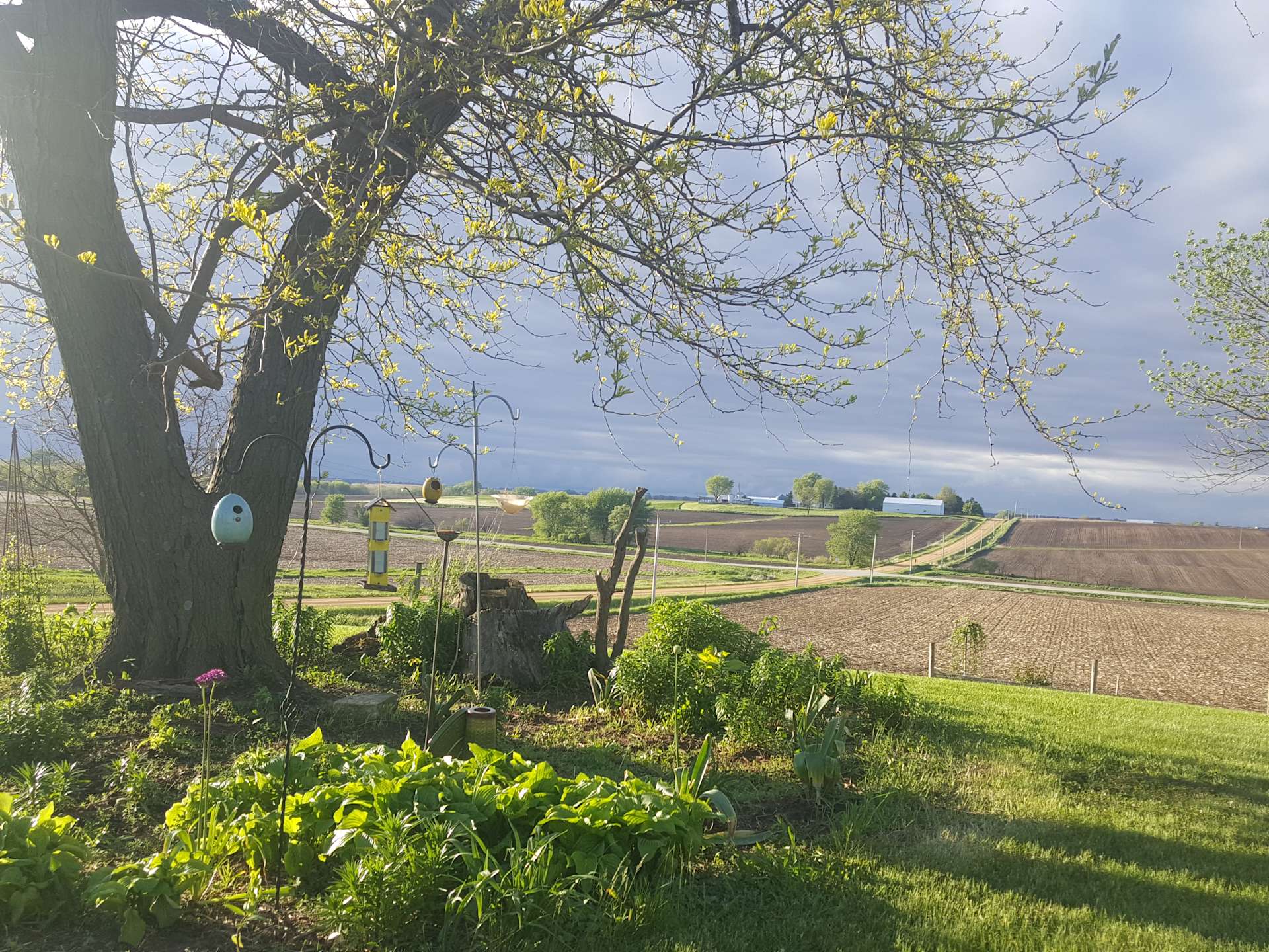 Miss Effie's Country Hipcamp in Donahue, Iowa