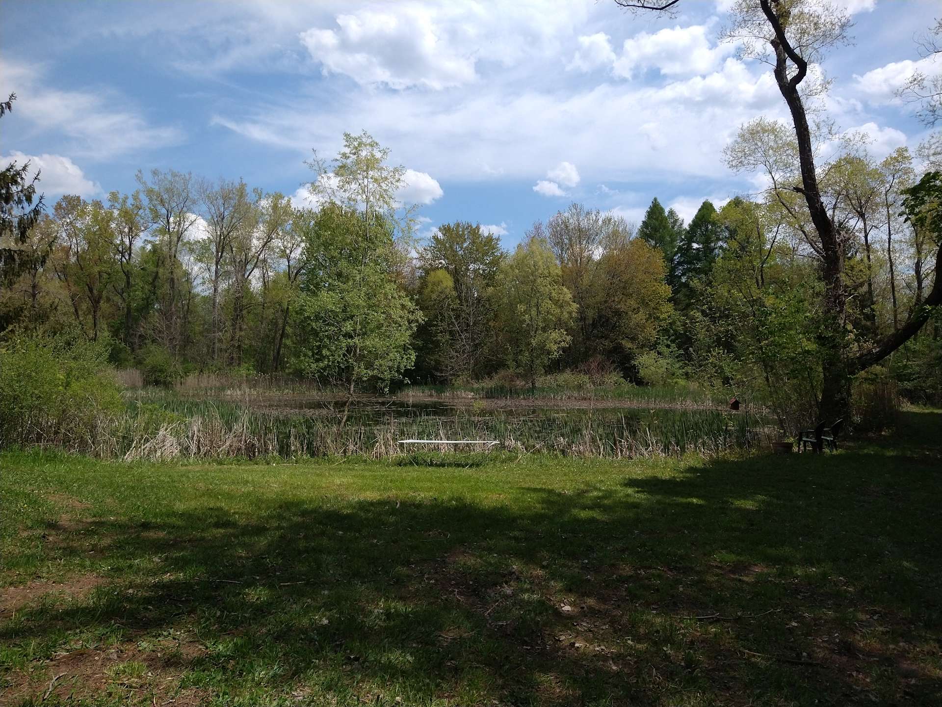 Peaceful Wooded Retreat on the Pond Hipcamp in Shortsville, New York