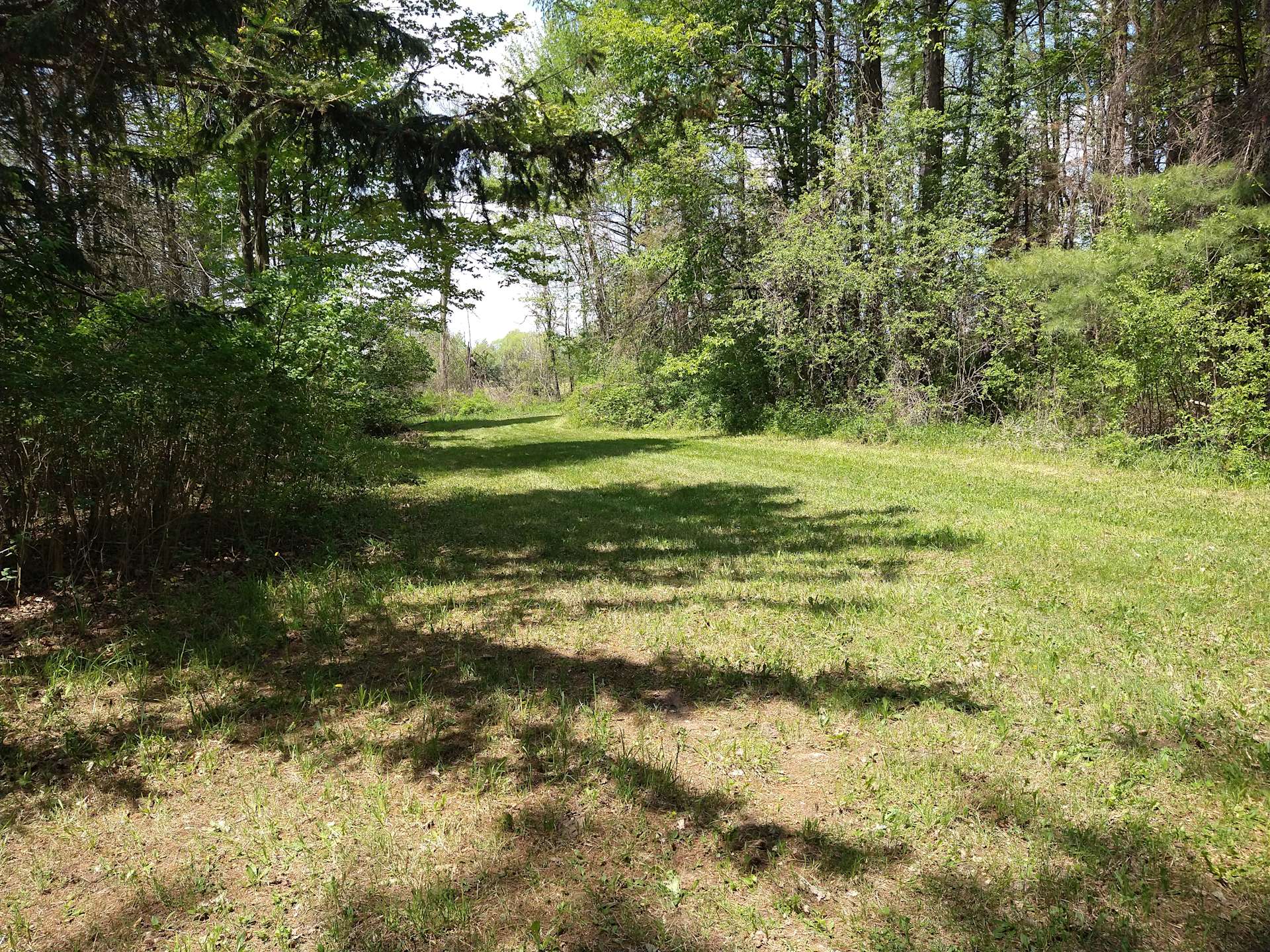 Peaceful Wooded Retreat on the Pond Hipcamp in Shortsville, New York