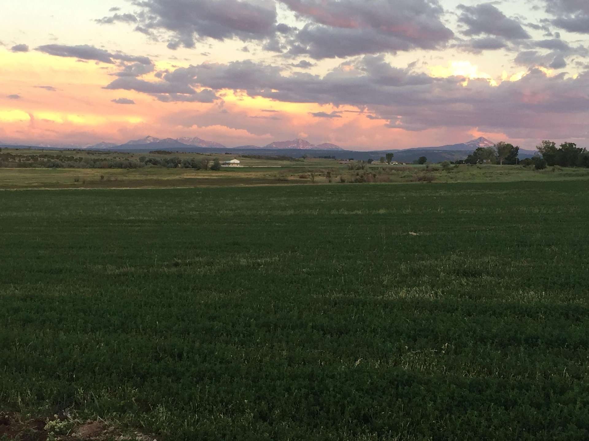 Tent Camping and Mountain View Hipcamp in Redvale, Colorado