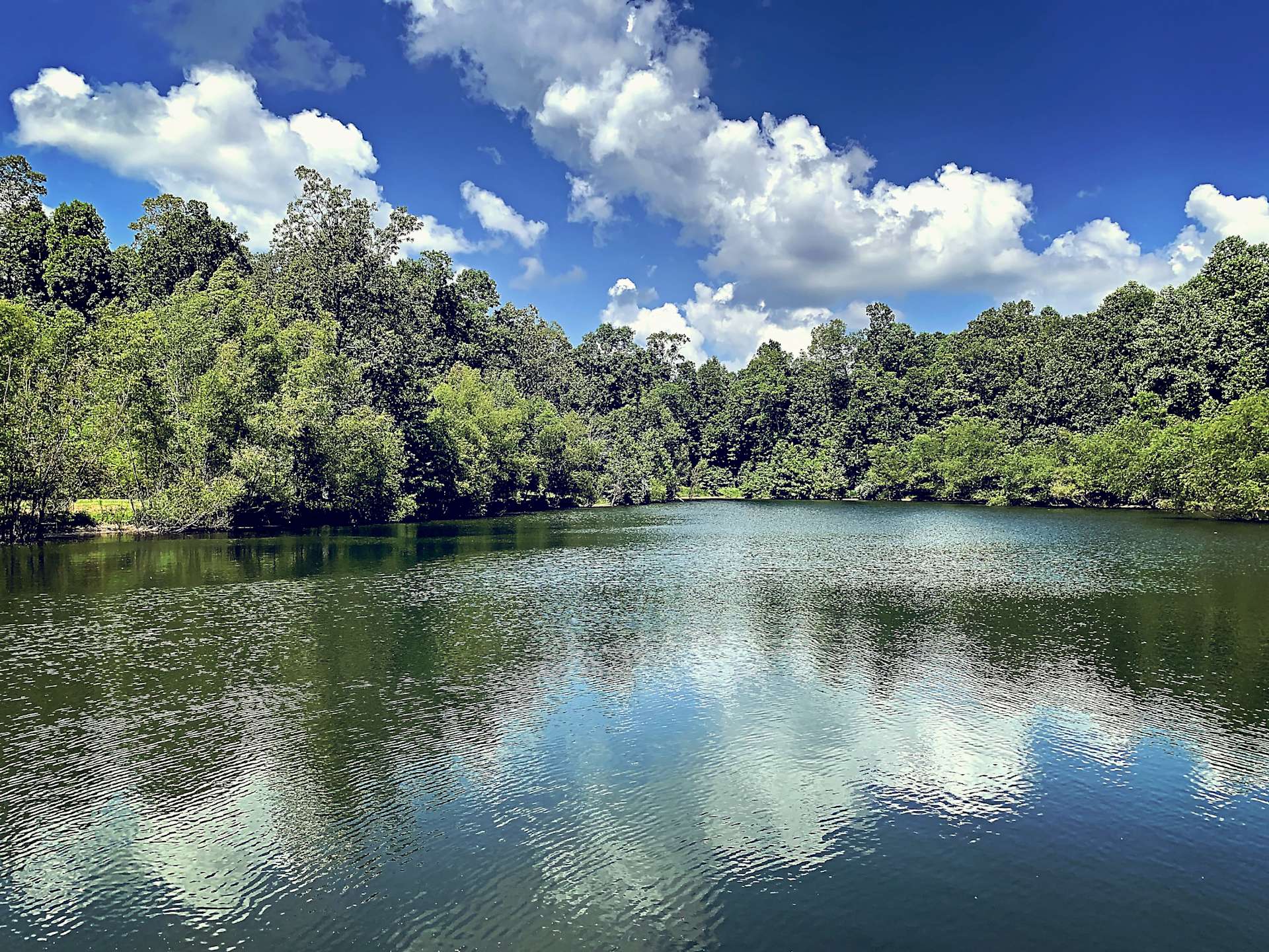 Robyn M.’s Land Hipcamp in Tamms, Illinois
