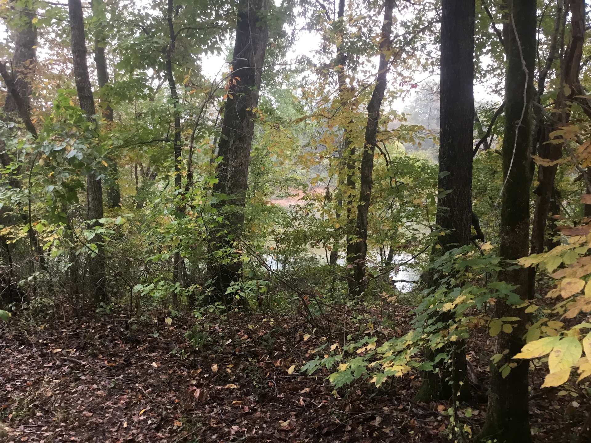 Fieldwoodsorriverbank Hipcamp in Maynard, Arkansas