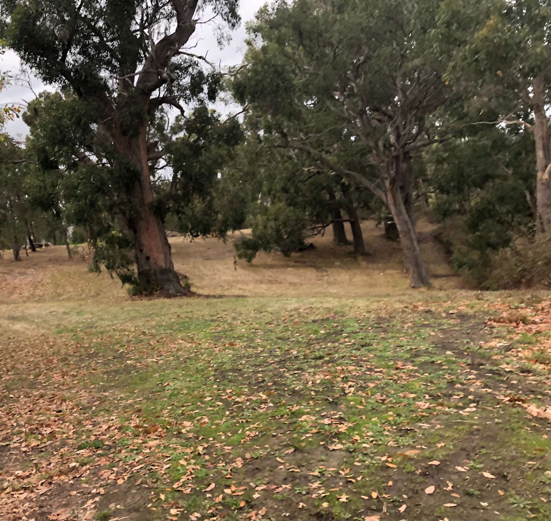 Adelaide Hills Magical Retreat Hipcamp in Balhannah, South Australia