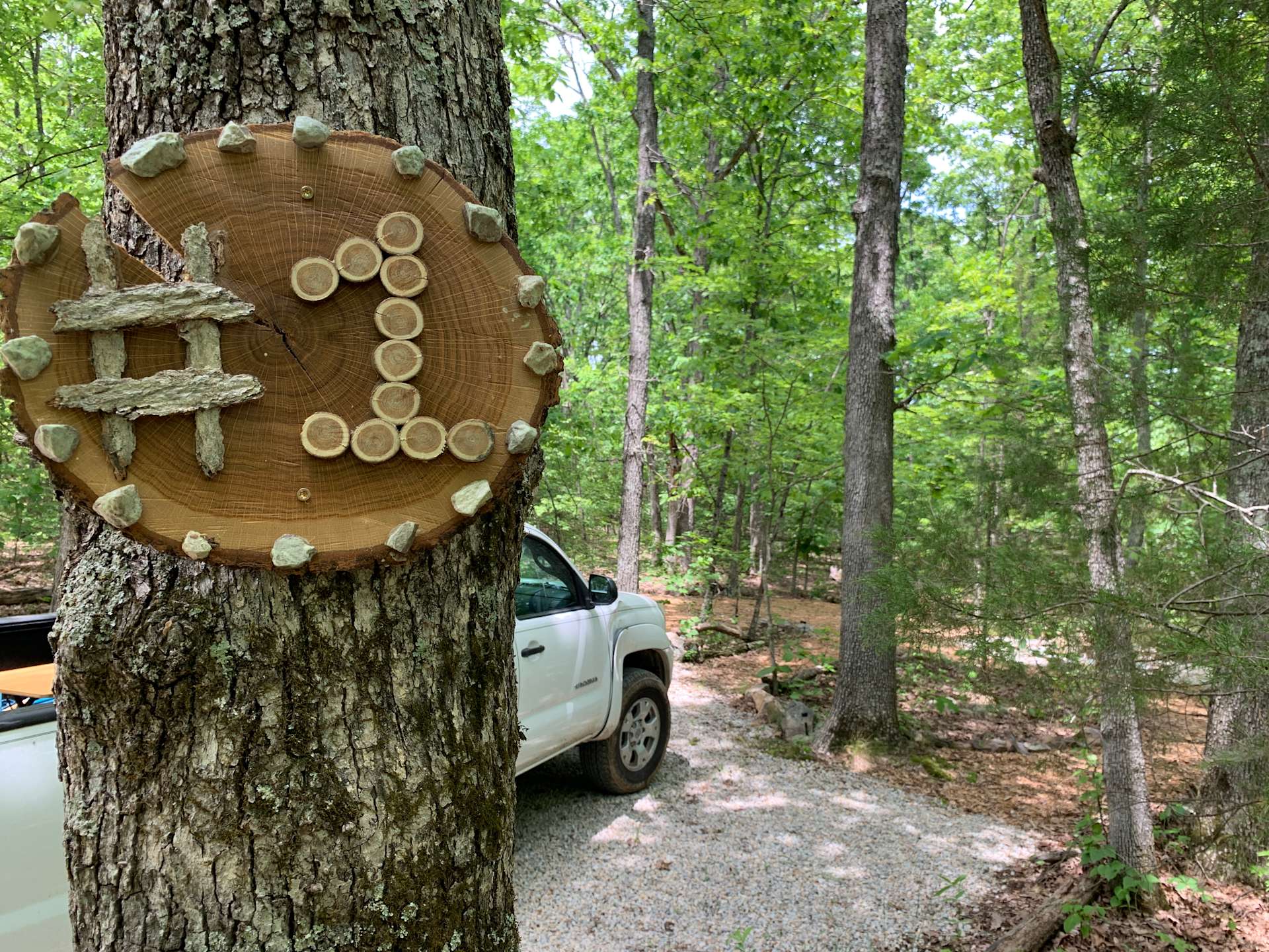 Arcadia Valley Outdoors Land Hipcamp in , Missouri