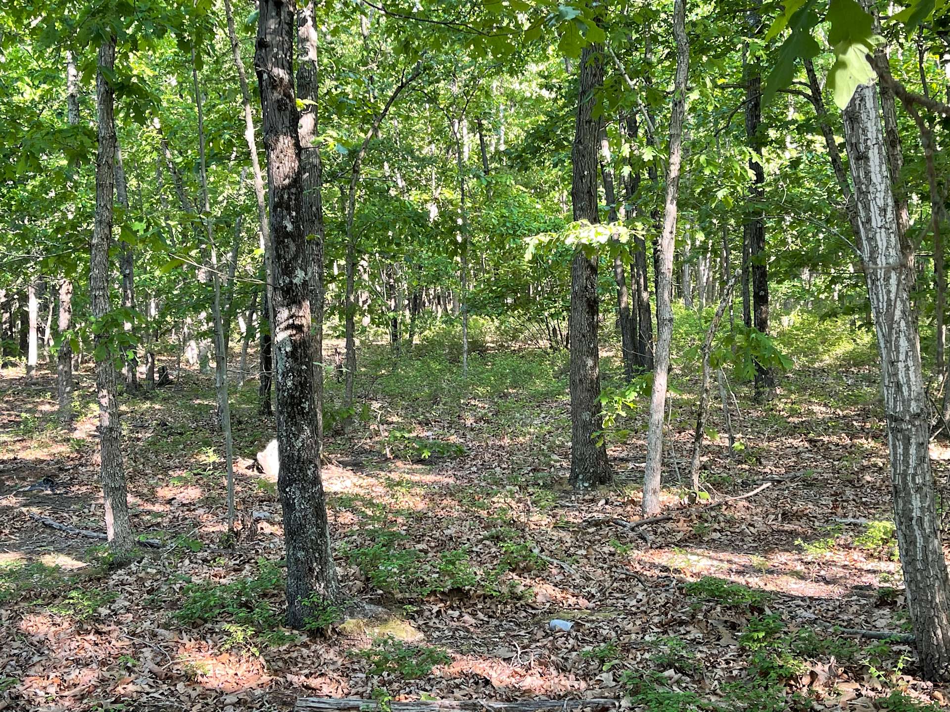 Chesilhurst Getaway Hipcamp in Chesilhurst, New Jersey