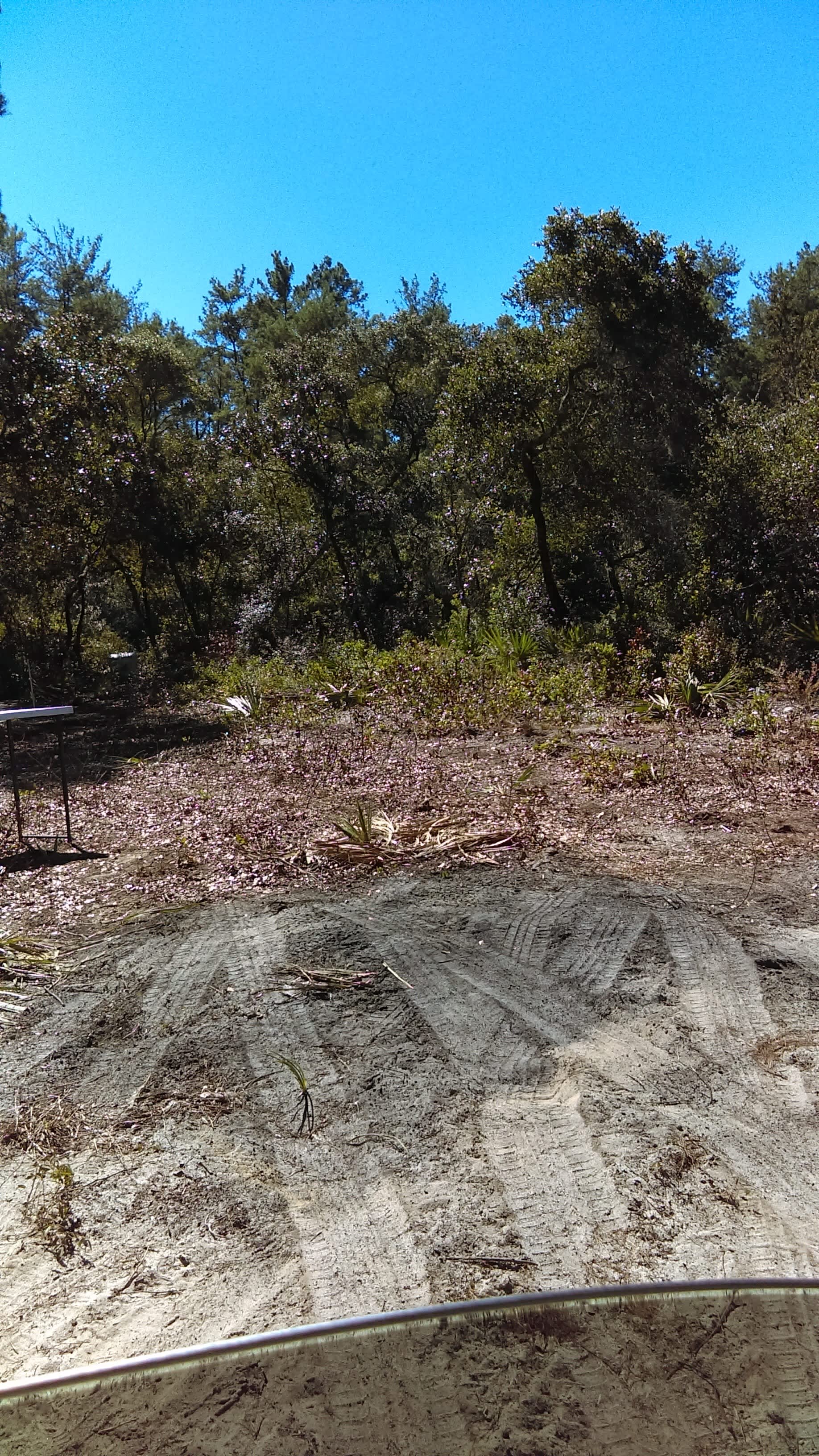 Kens Kamps Hog Valley Hipcamp in , Florida