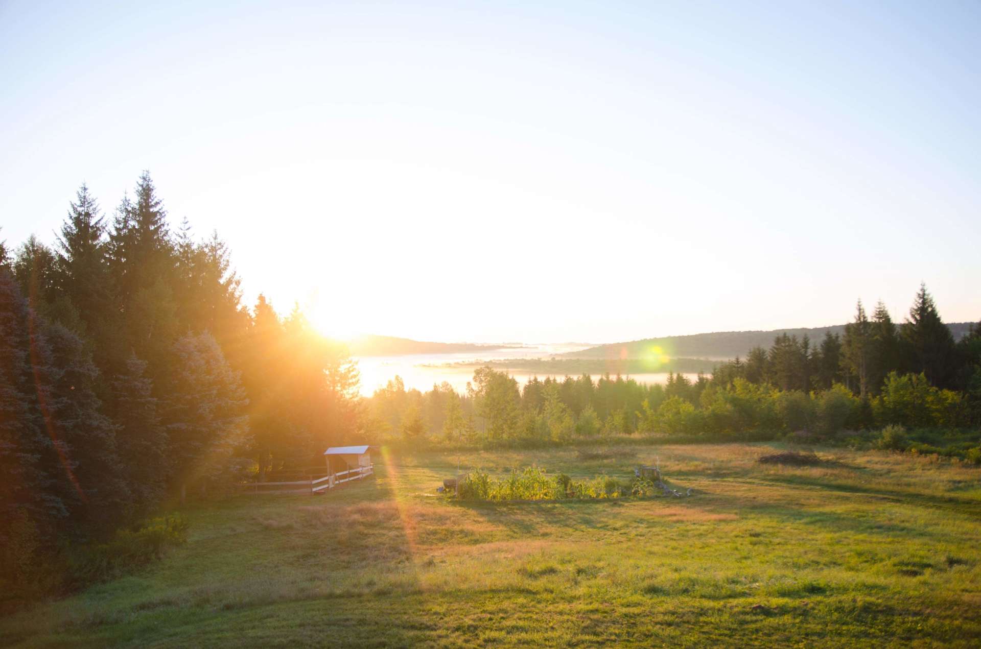 207 OffGrid Hipcamp in New Sweden, Maine