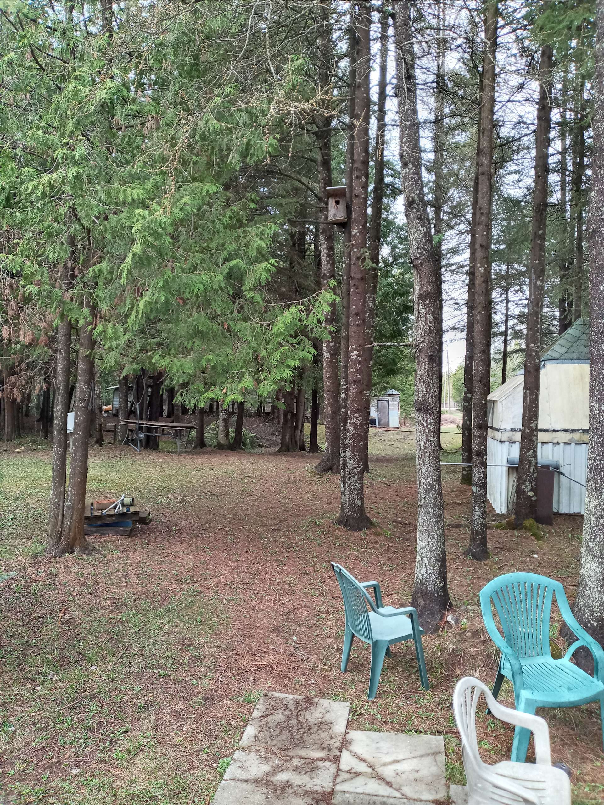 The Wright Spot Hipcamp in Badjeros, Ontario