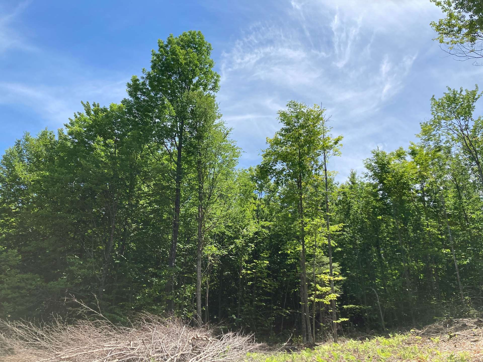 Tina L.’s Land Hipcamp in Wilton, Maine