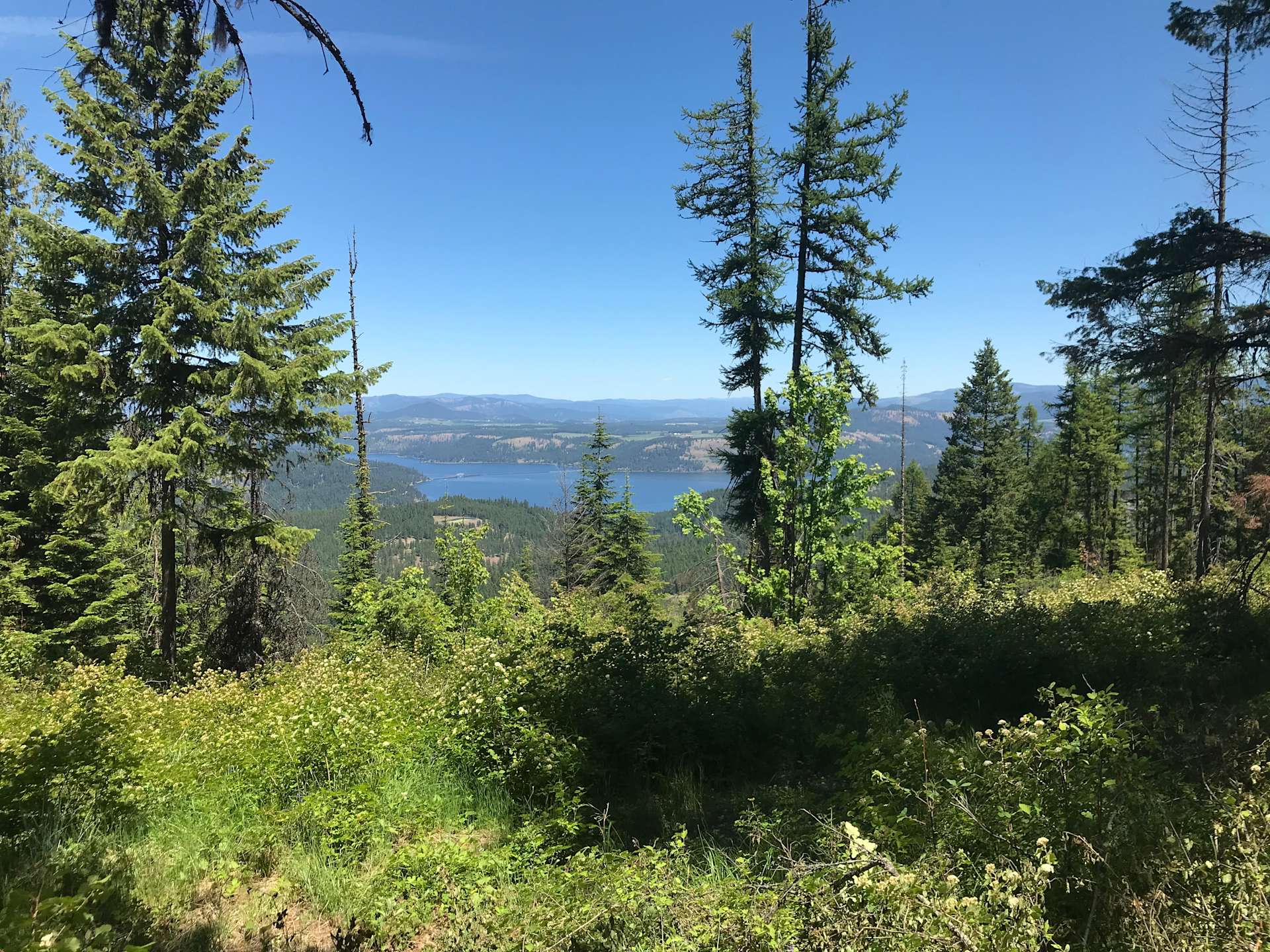 Parkside Mountain Ranch - Hipcamp in Plummer, Idaho