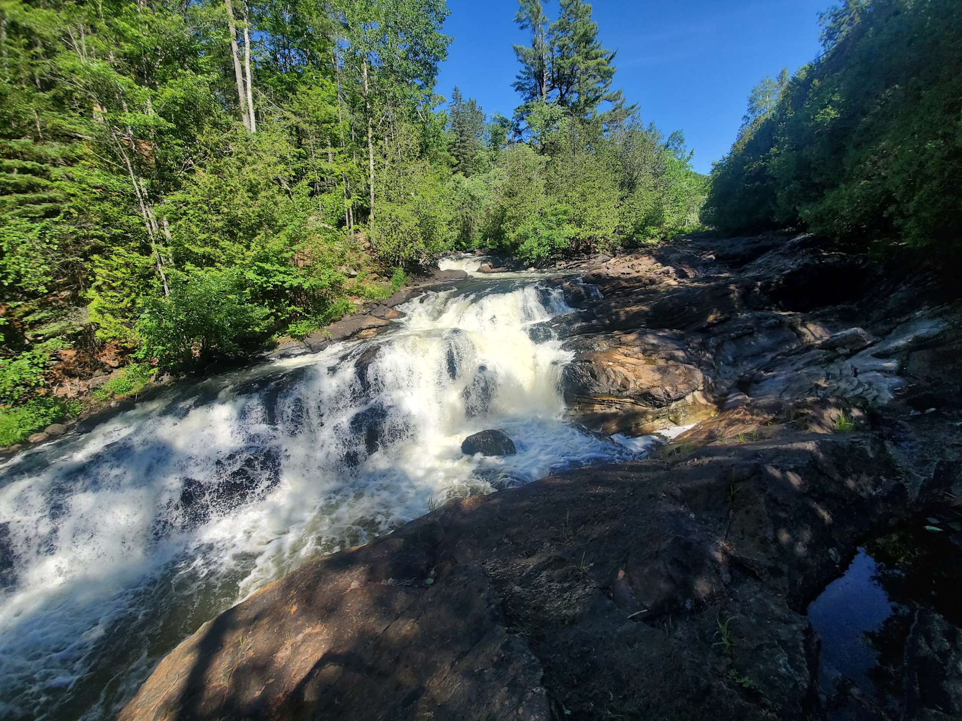 Camping at our Earthship/tirehouse Hipcamp in L'amable, Ontario
