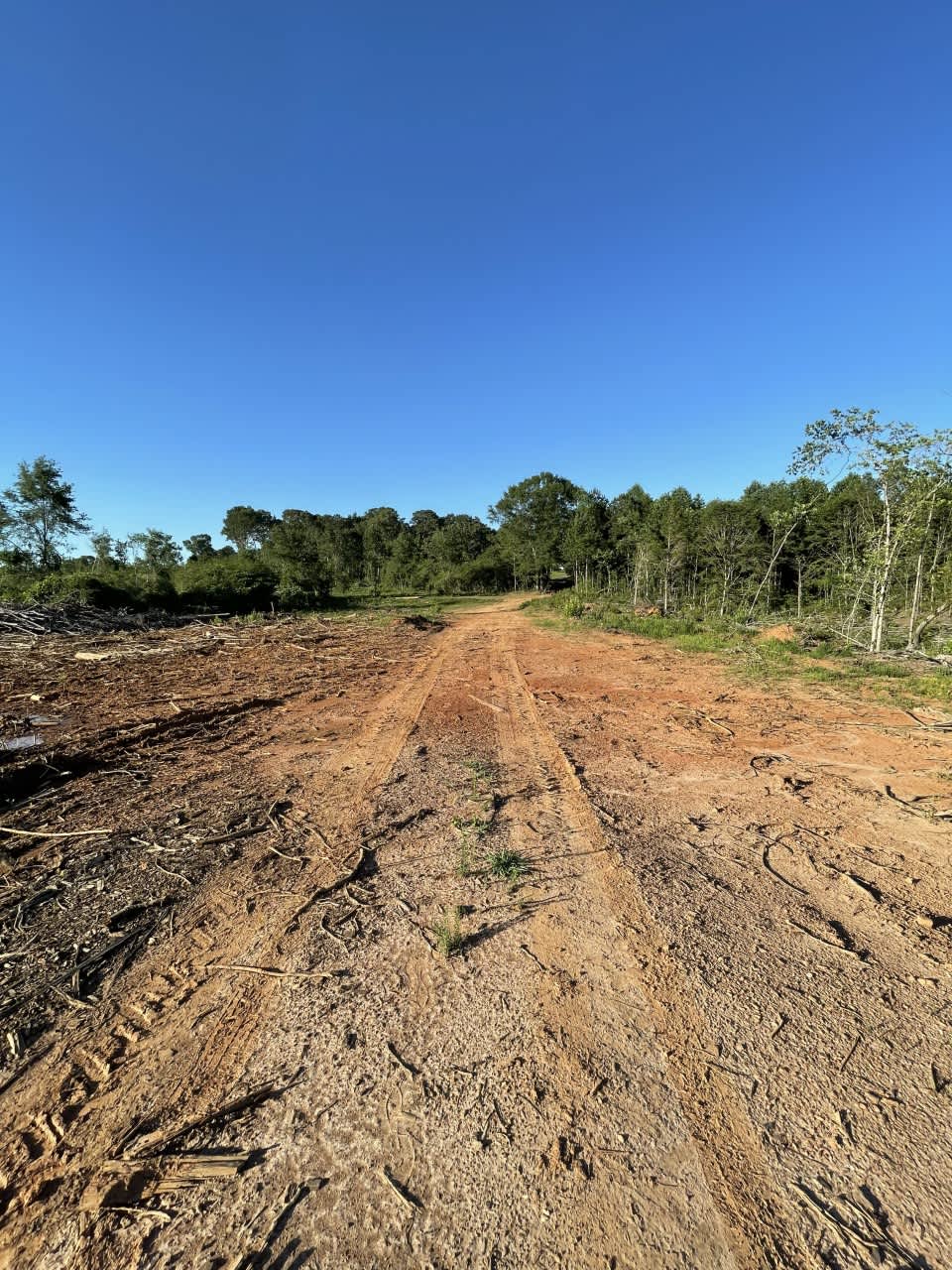 Lake Wedowee Camping Hipcamp in Wedowee, Alabama
