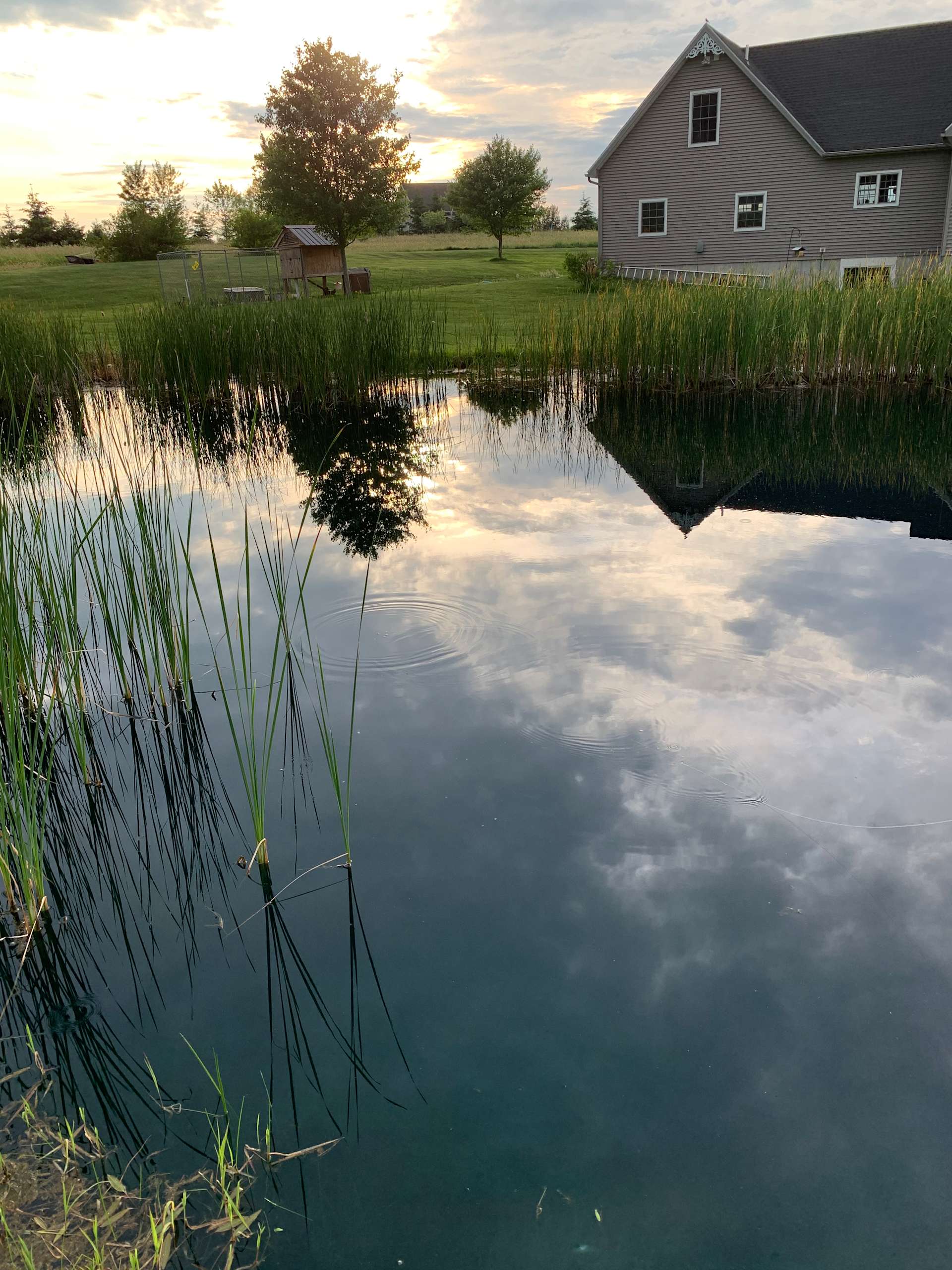 Backyard Oasis Hipcamp in Frewsburg, New York