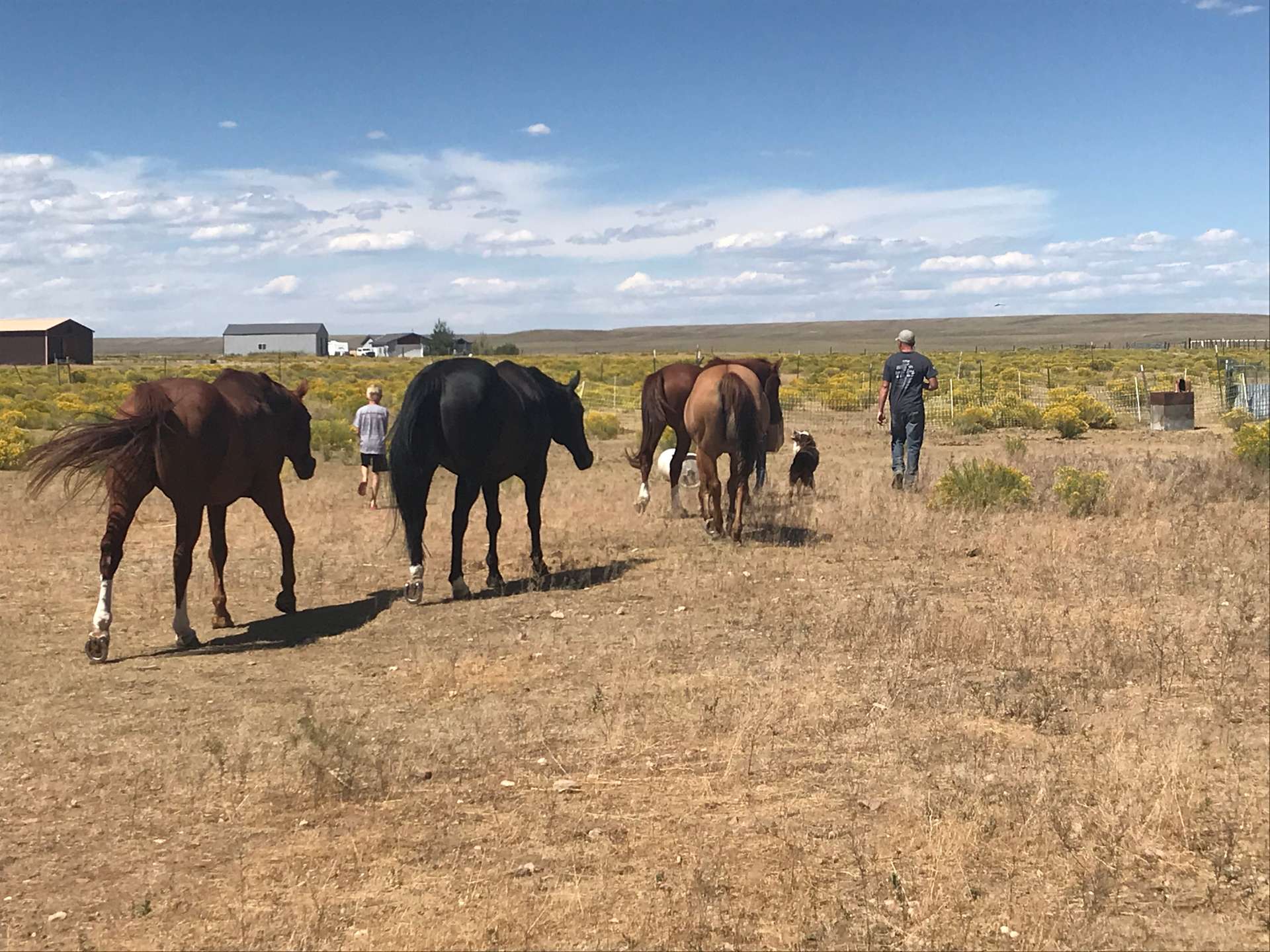 Wes Y.’s Land Hipcamp in Big Piney, Wyoming