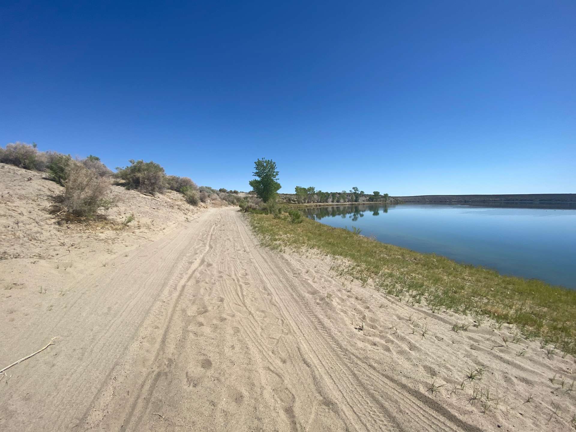 Soda lake oasistent site Hipcamp in Fallon, Nevada
