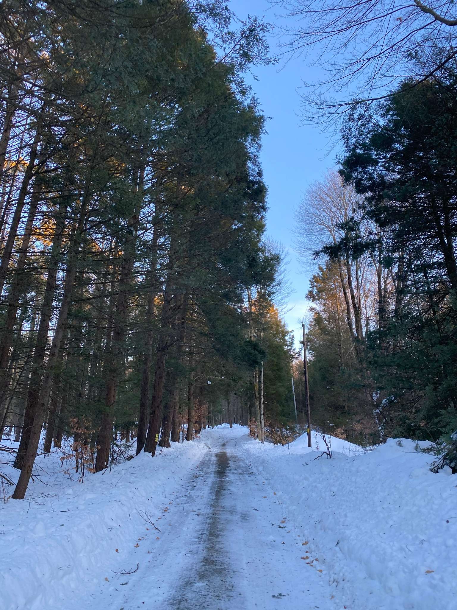 Forest retreatLake Wallenpaupack Hipcamp in Greentown, Pennsylvania
