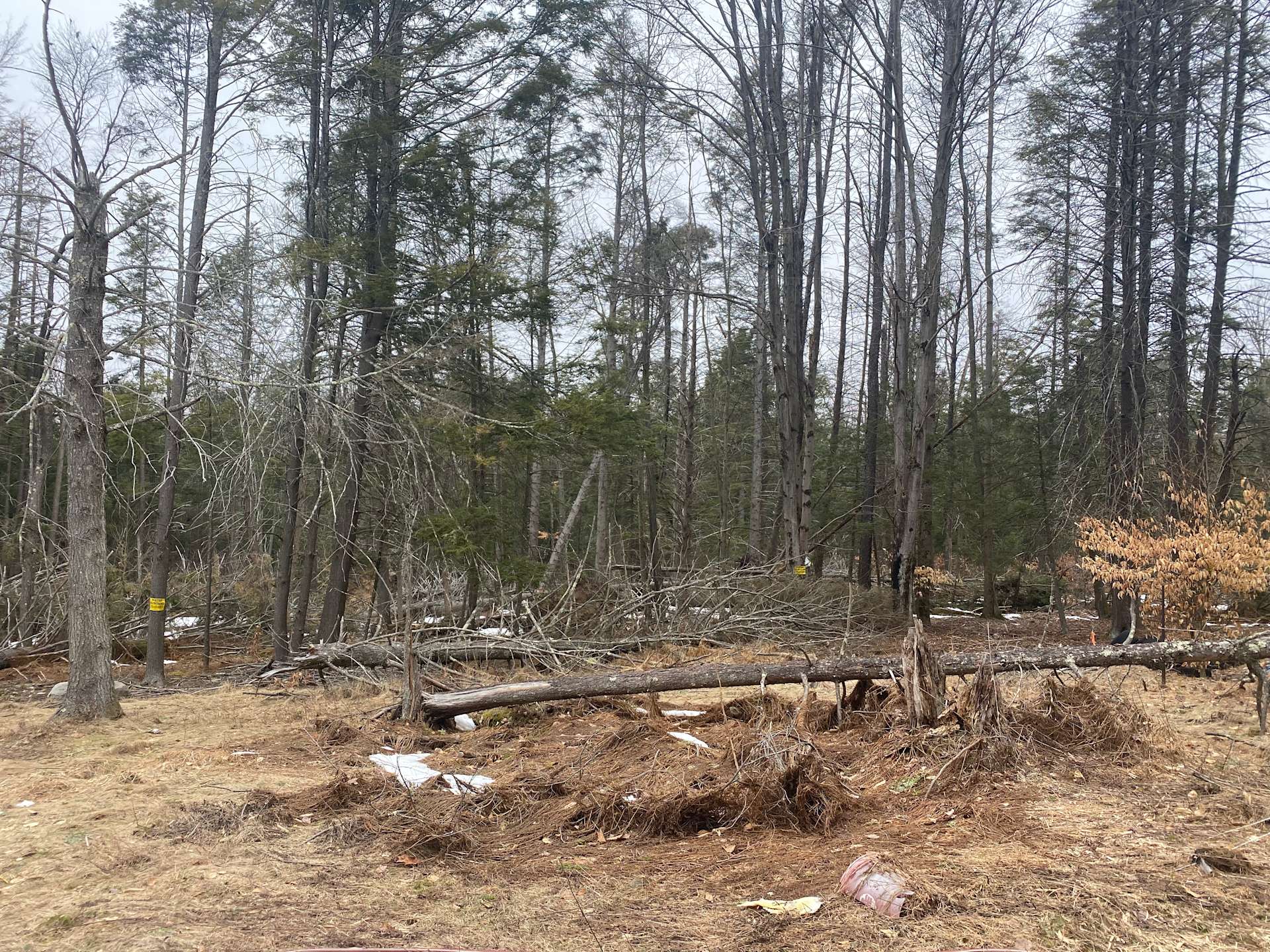 Forest retreatLake Wallenpaupack Hipcamp in Greentown, Pennsylvania