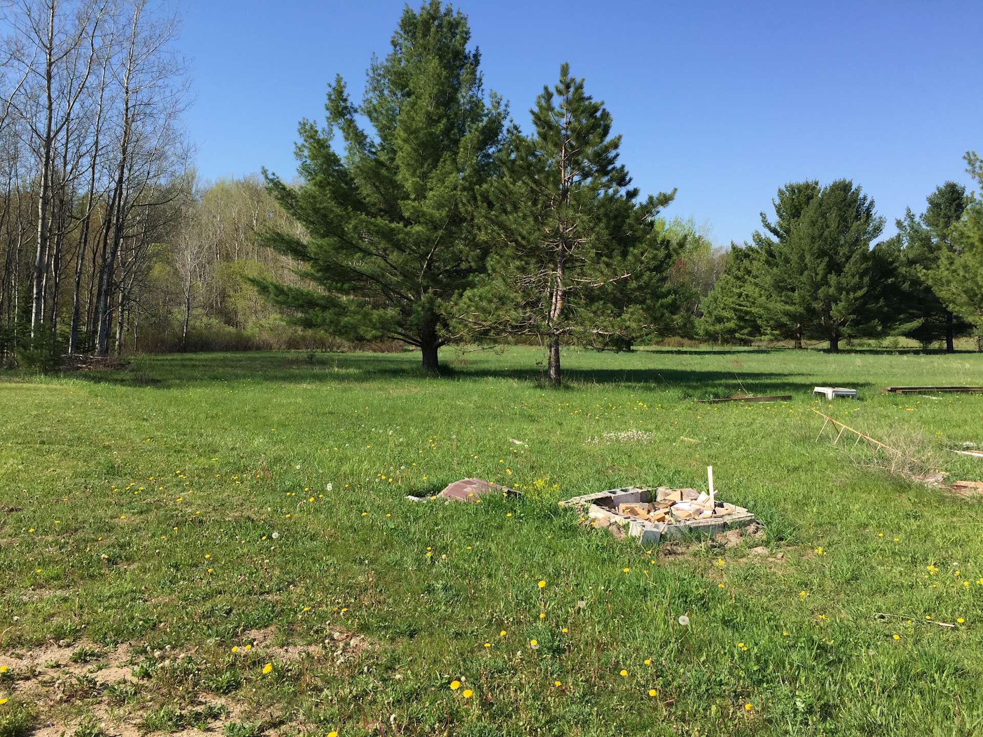 Gods Green Acres Hipcamp in Lake City, Michigan