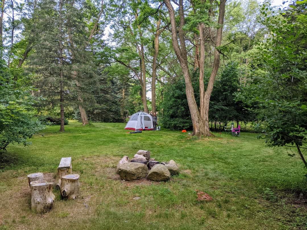 Big Tree Camping - Hipcamp in Orchard Park, New York