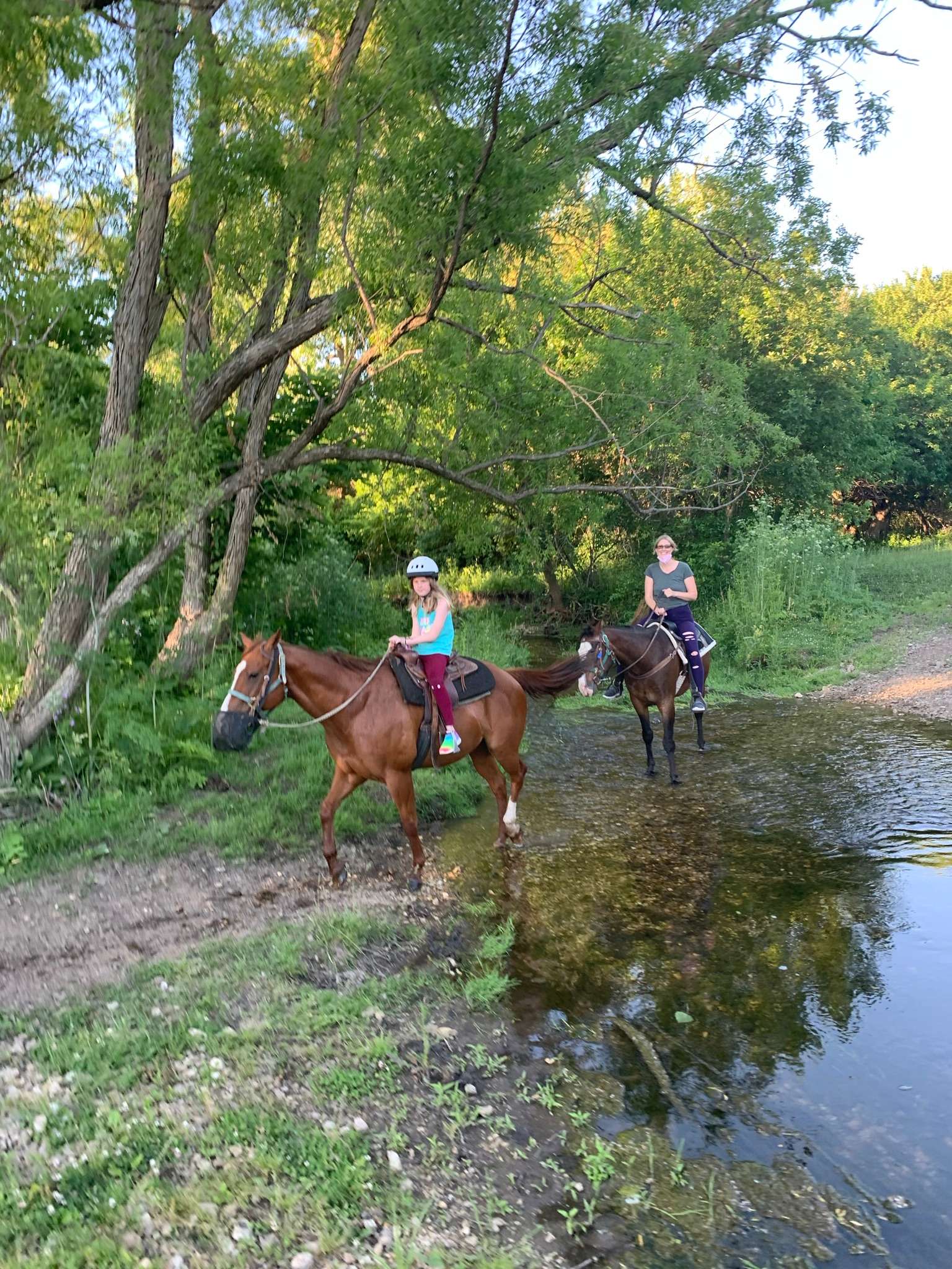 Millbrook Trail Rides Hipcamp in Newark, Illinois