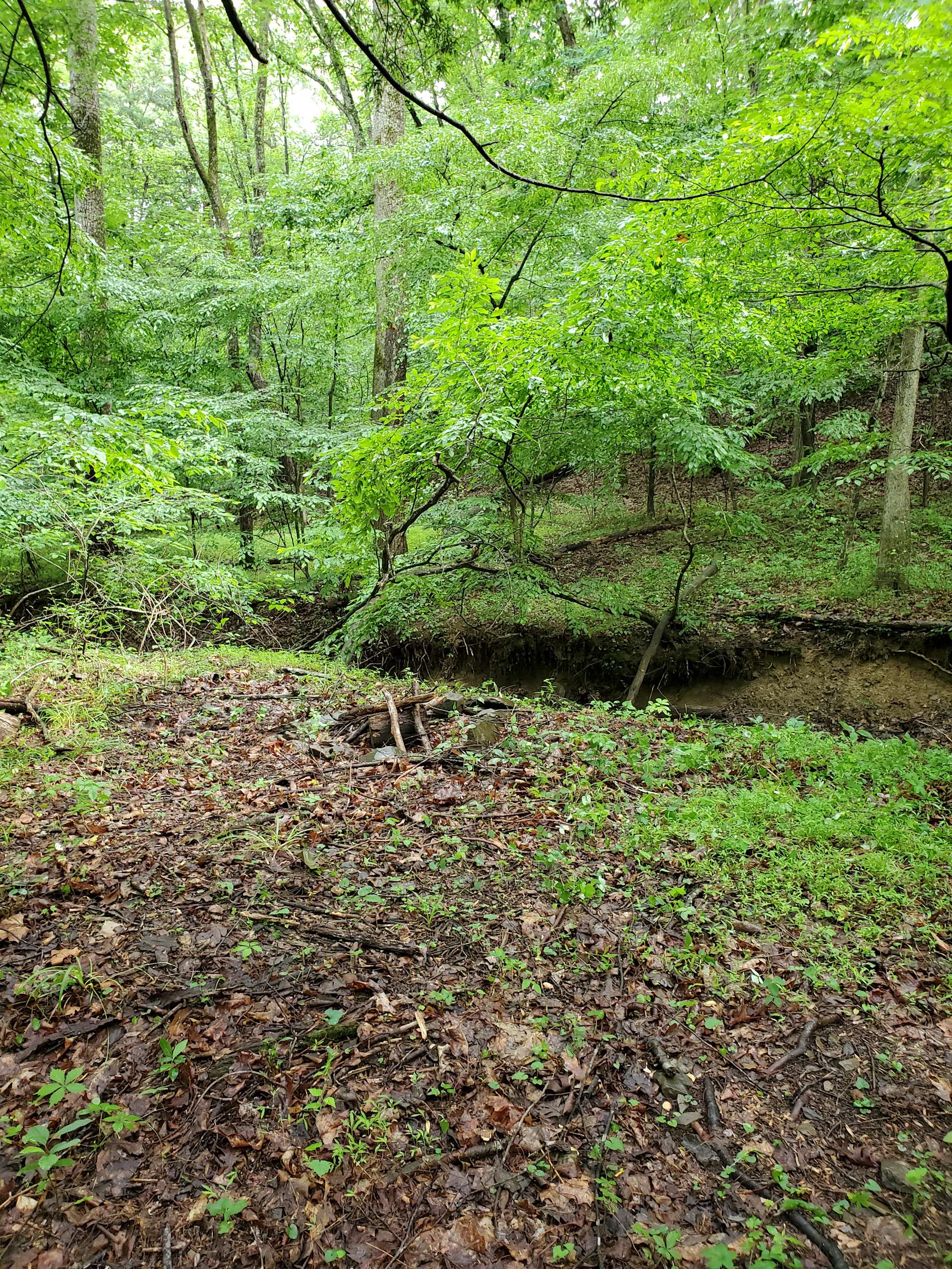 Providence Crossroads Farm Hipcamp in Hedgesville, West Virginia