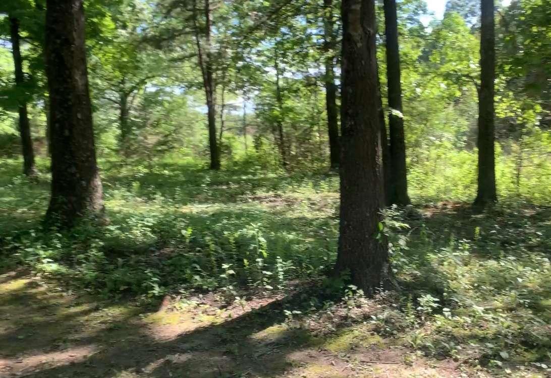 Buffalo River private camping Hipcamp in Yellville, Arkansas