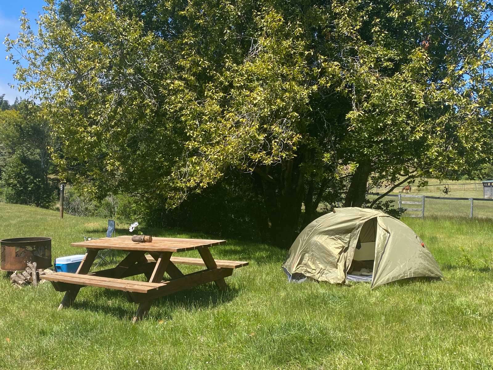 Cornerstone Ranch Hipcamp in Gold Beach, Oregon