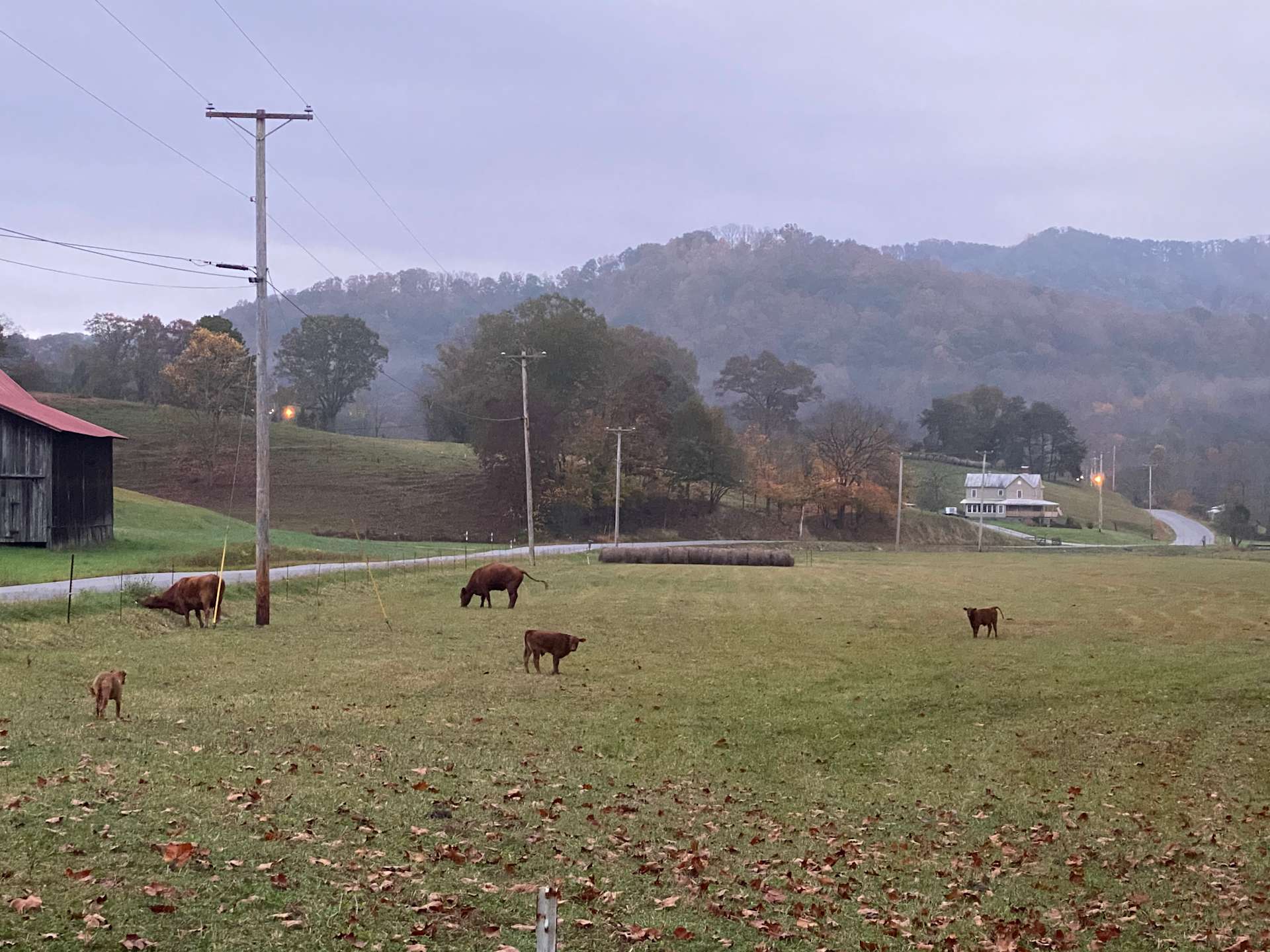 The hick oasis Hipcamp in Rogersville, Tennessee