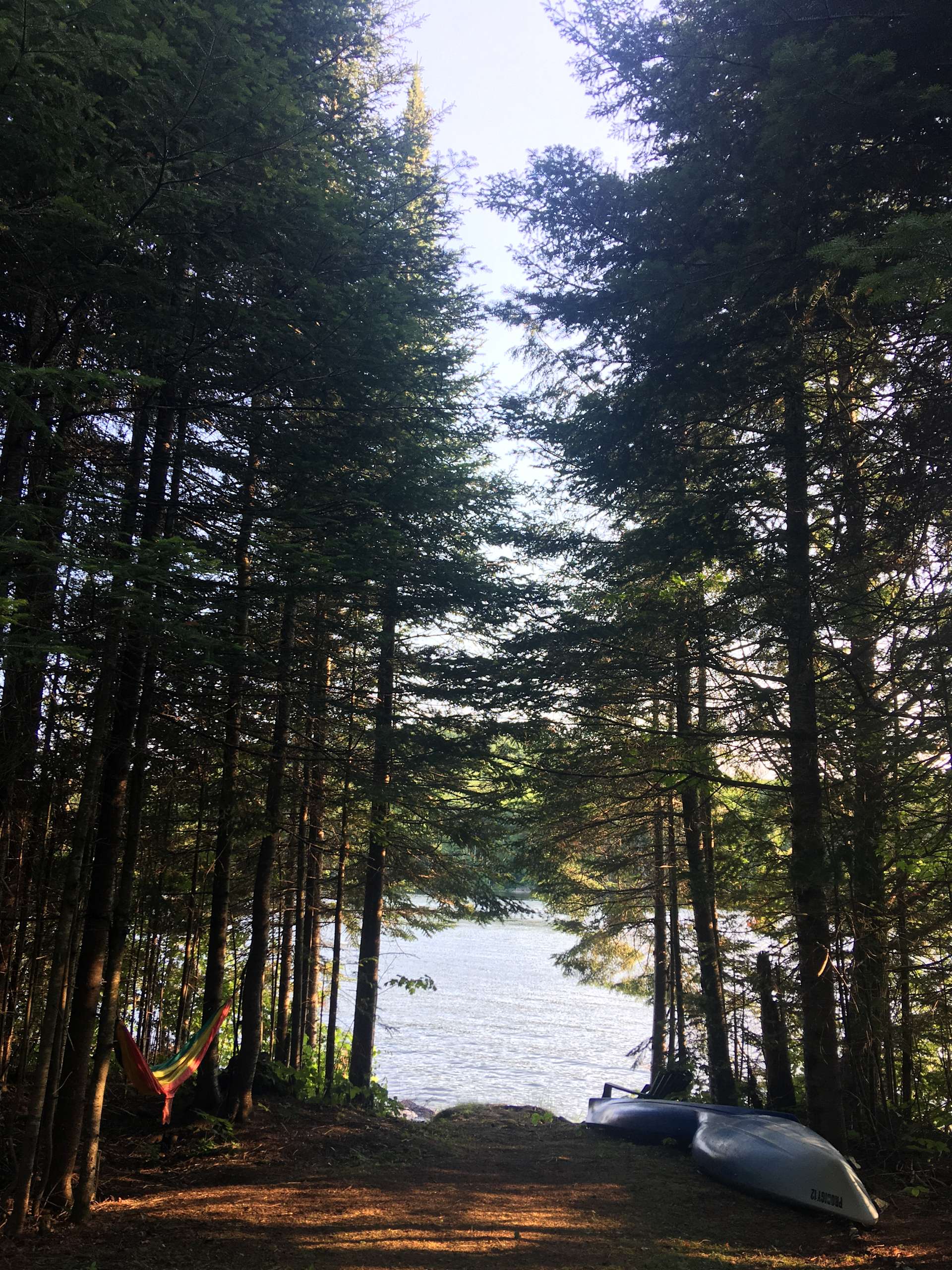 The Alcove at Martin's Pond Hipcamp in Peacham, Vermont