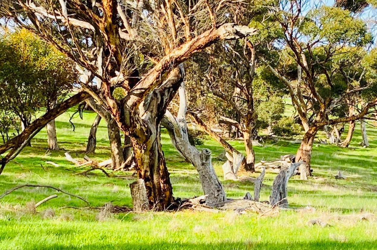 Parrara View - Hipcamp in North Shields, South Australia