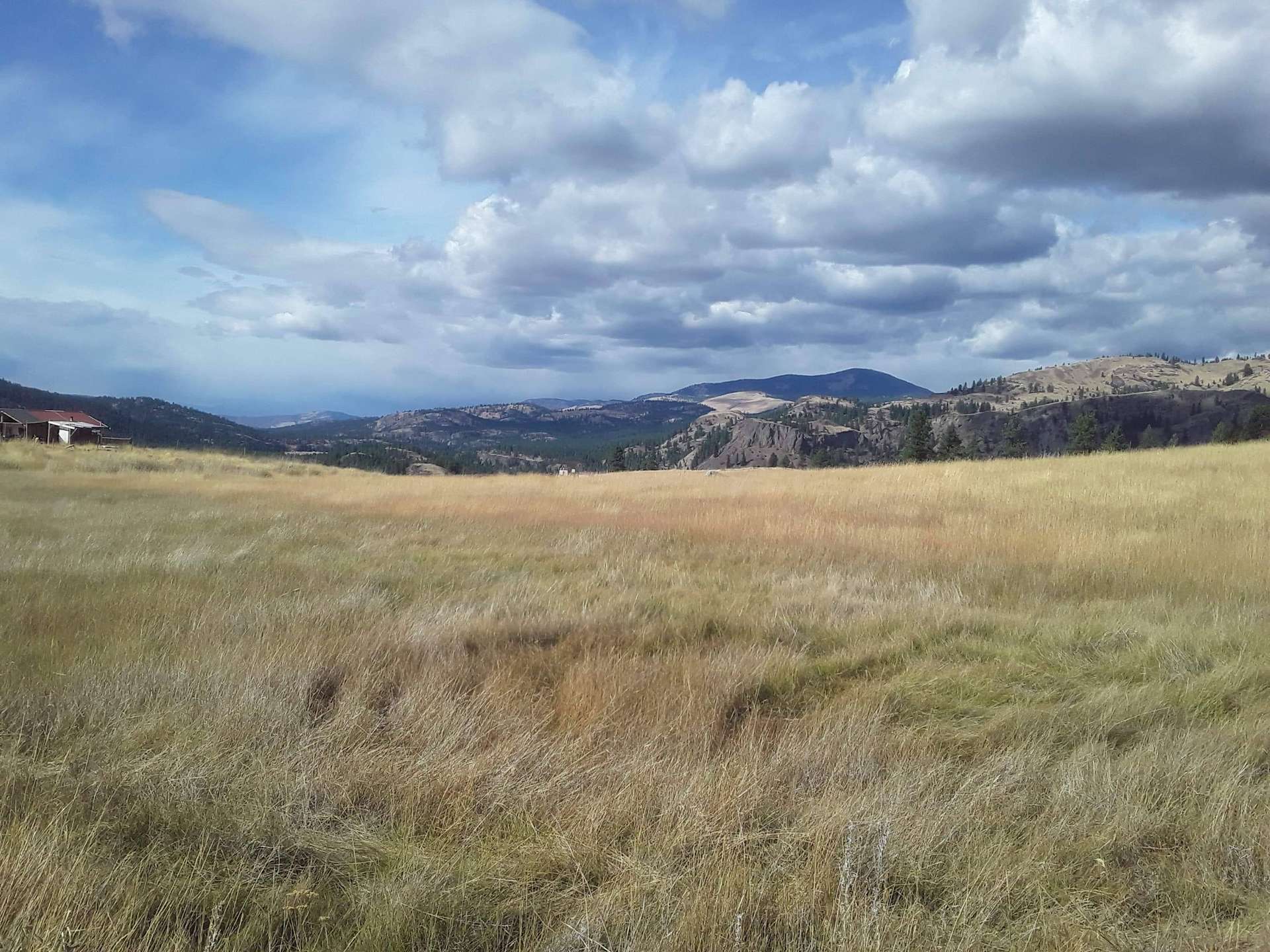 Kanga M.’s Land Hipcamp in Tonasket, Washington