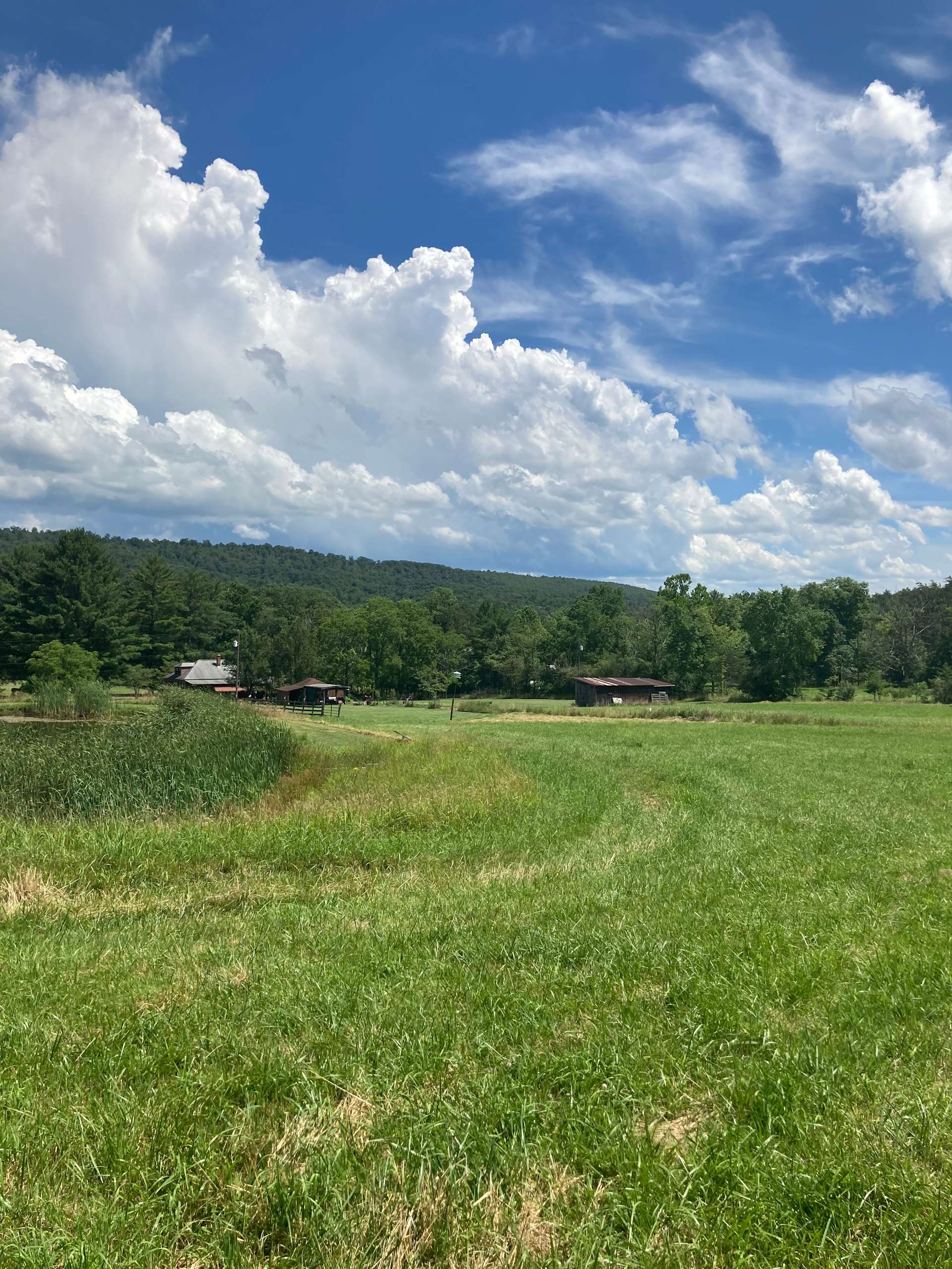 Pine Hallow Farms Hipcamp in Clearville, Pennsylvania