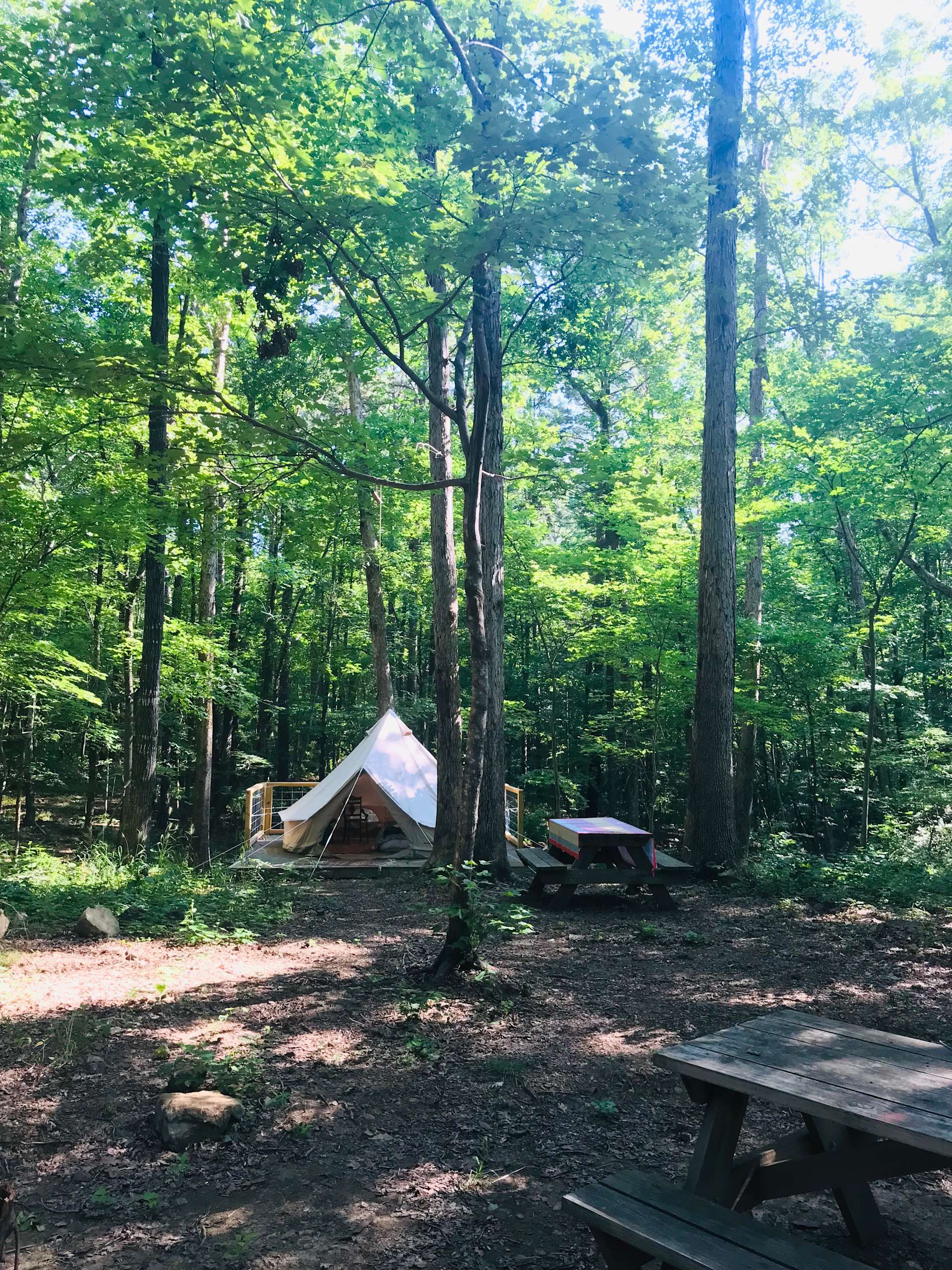 Sparkroot Farm Hipcamp in Moncure , North Carolina