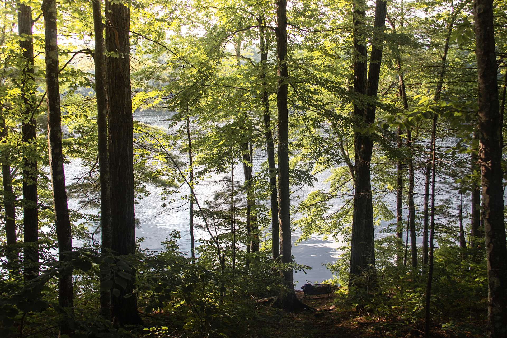 Camp Wilson on Long Pond Hipcamp in Barrington, New Hampshire