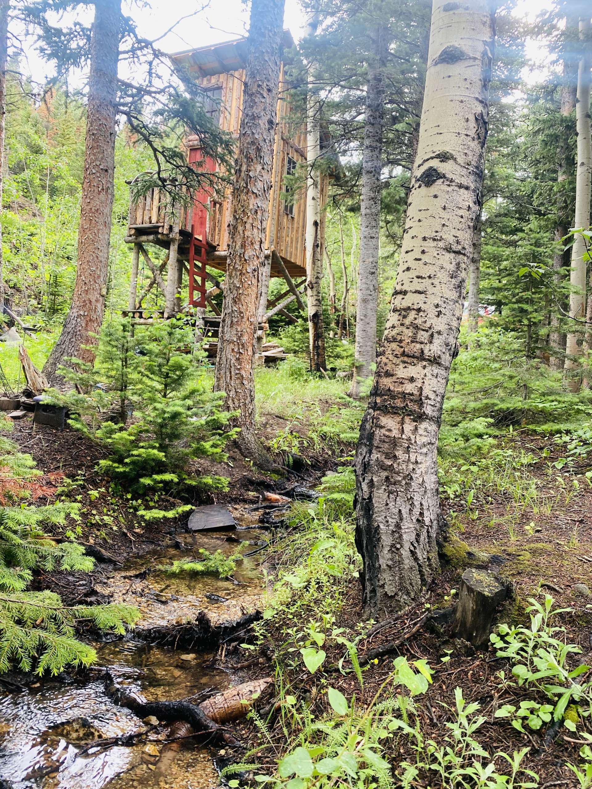 Sherwood Creek Camp And Glamp Hipcamp In Nederland Colorado