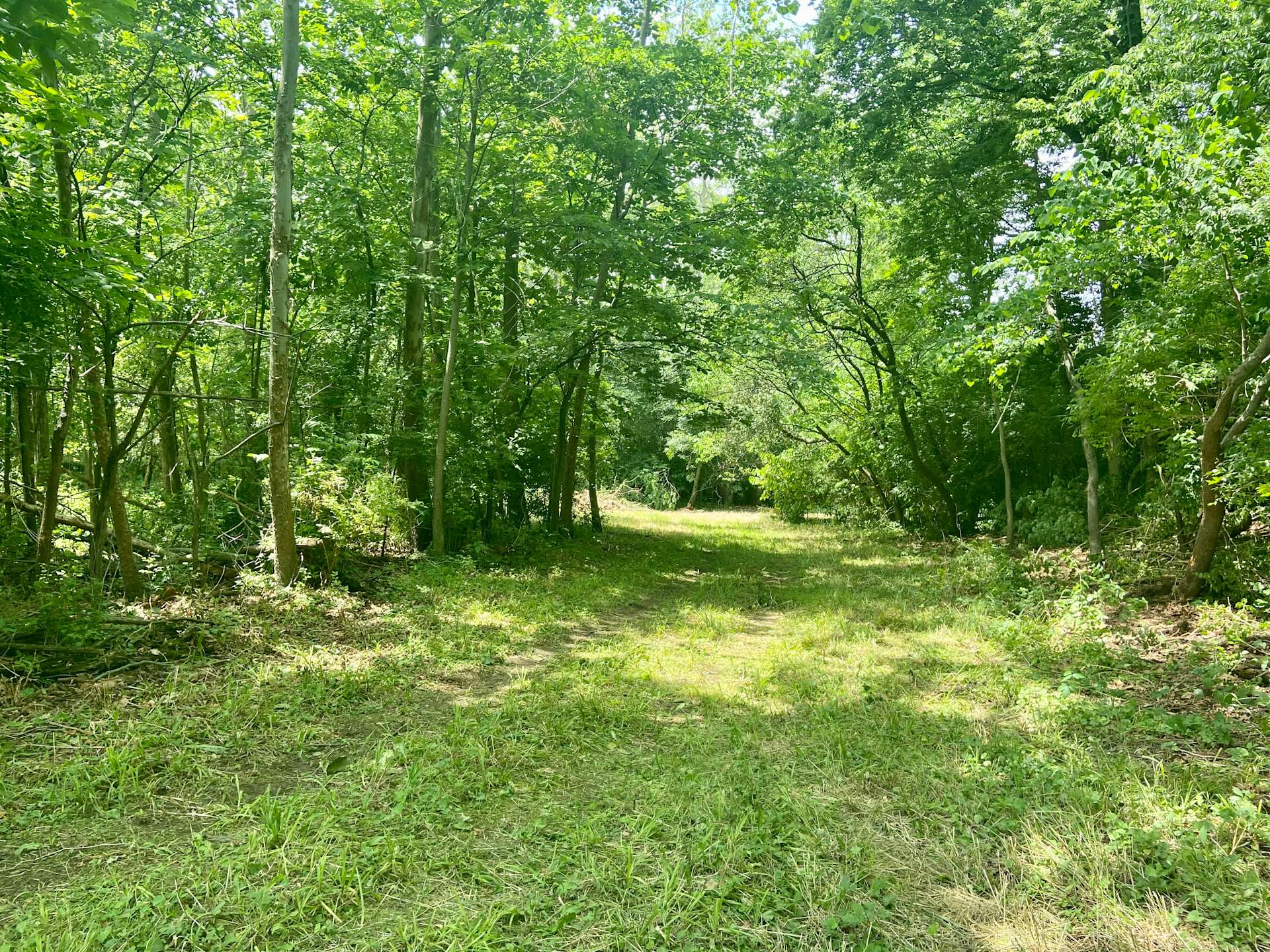 Happy Highland Homestead Hipcamp in Plymouth, Indiana