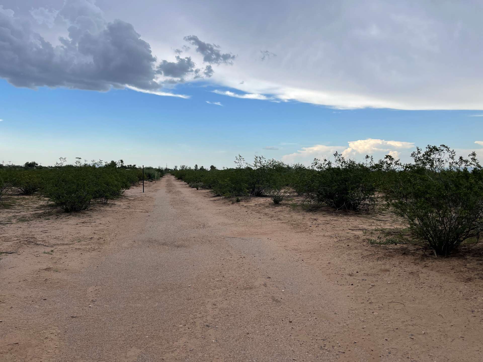 Desert Getaway in Avra Valley Hipcamp in Avra Valley, Arizona