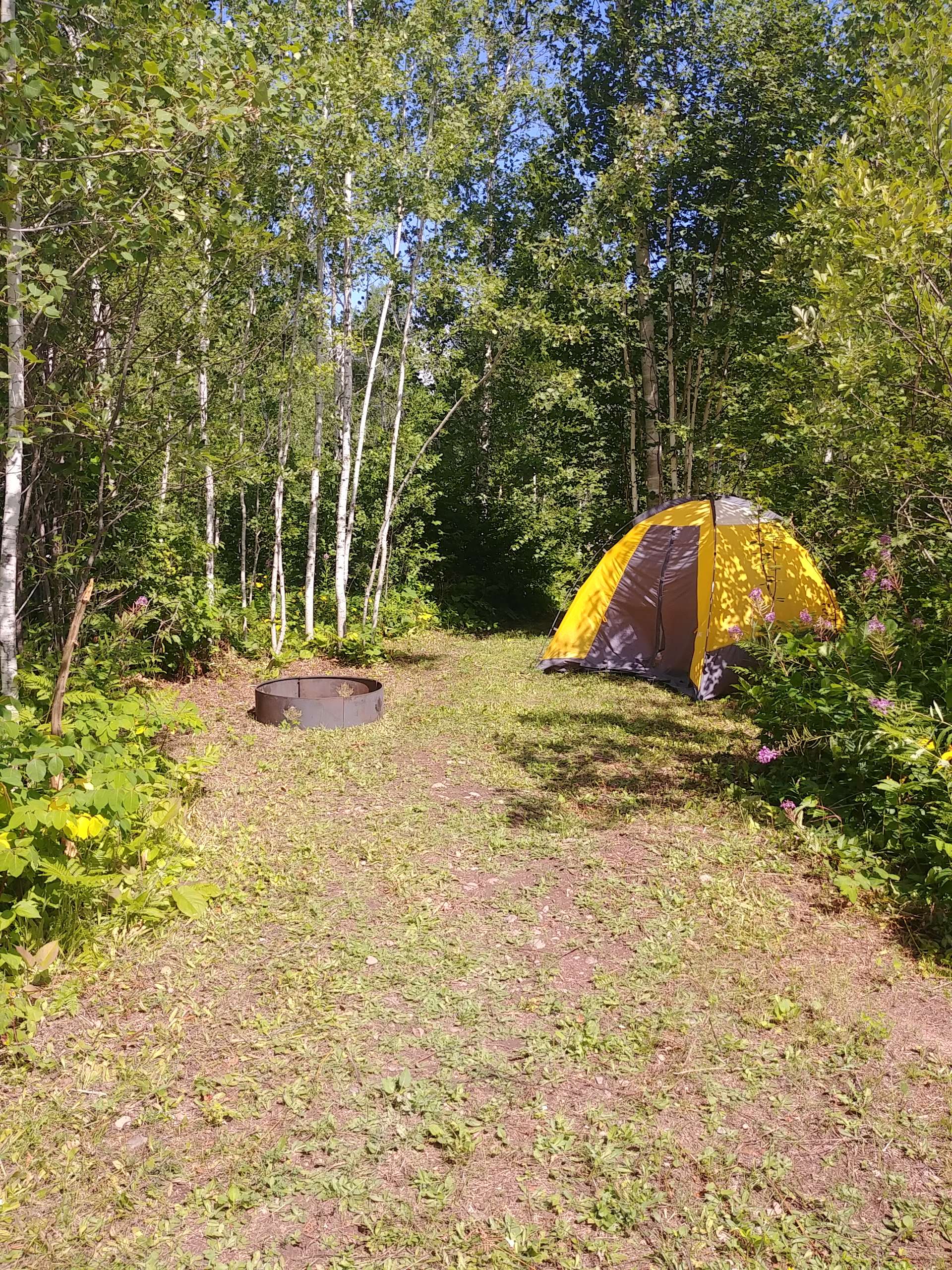 Latibule Resort and Campground Hipcamp in Dorion, Ontario