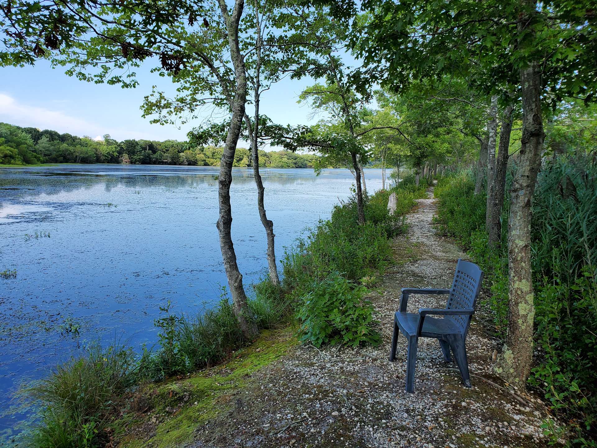 Peconic River Campgrounds Hipcamp in Calverton, New York