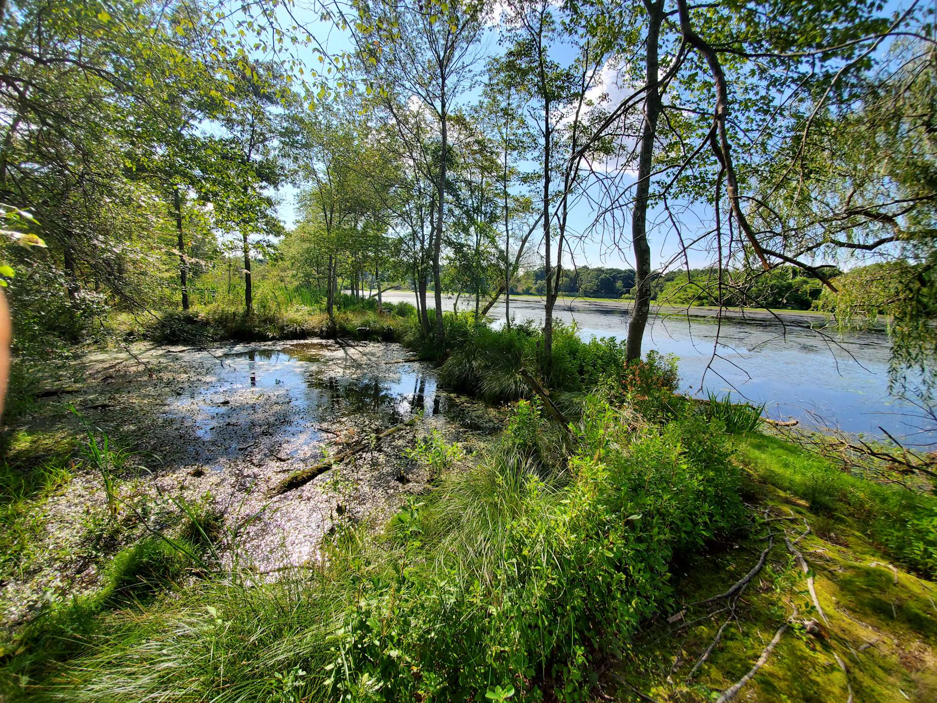 Peconic River Campgrounds Hipcamp in Calverton, New York