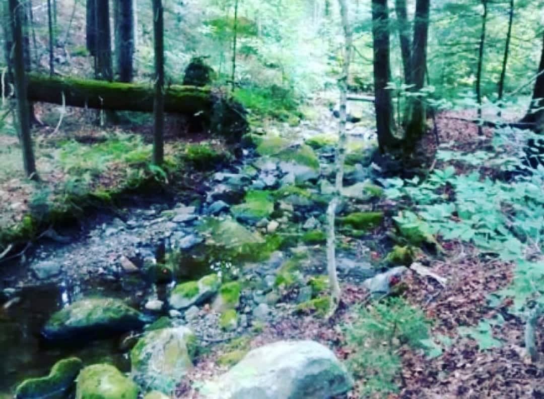 Green Mountain Escape Hipcamp in East Wallingford, Vermont