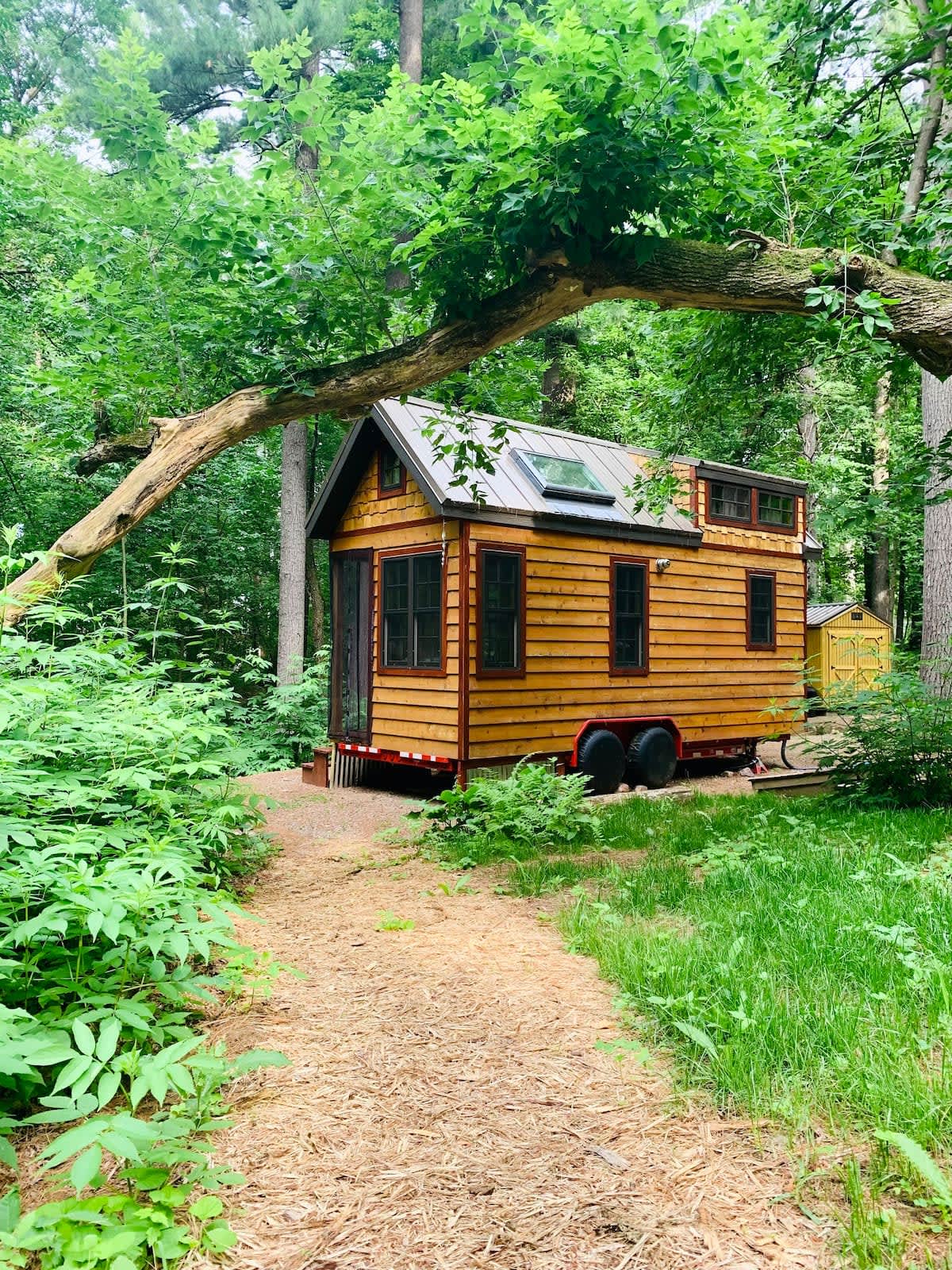 Many Pines Tiny House - Hipcamp in Chetek, Wisconsin