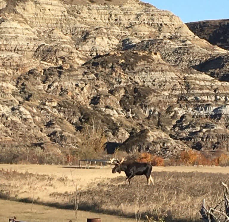 Badlands River View (Drumheller Valley) Hipcamp in Drumheller, Alberta