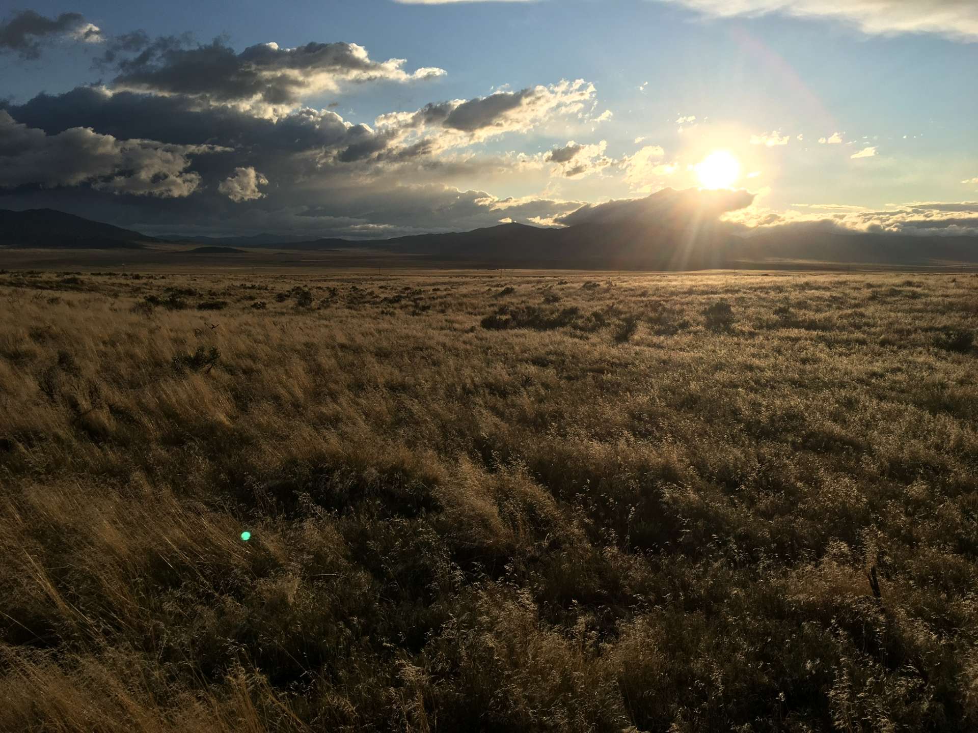 Nevada's Desert Oasis: Unplug and Unwind at Desert Creek Campground