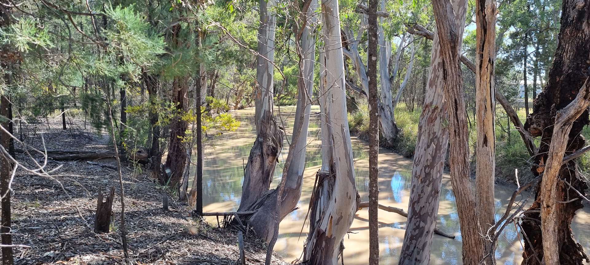 Bare Camp Nudist Clothing Optional Hipcamp in Miles, Queensland