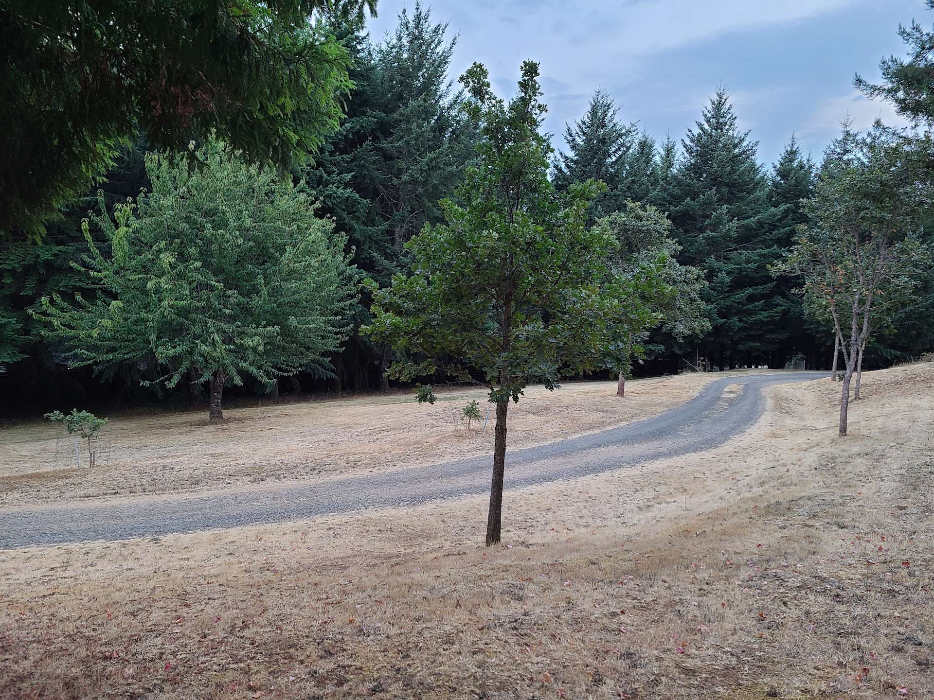 Hagg Lake Home Hipcamp in Gaston, Oregon