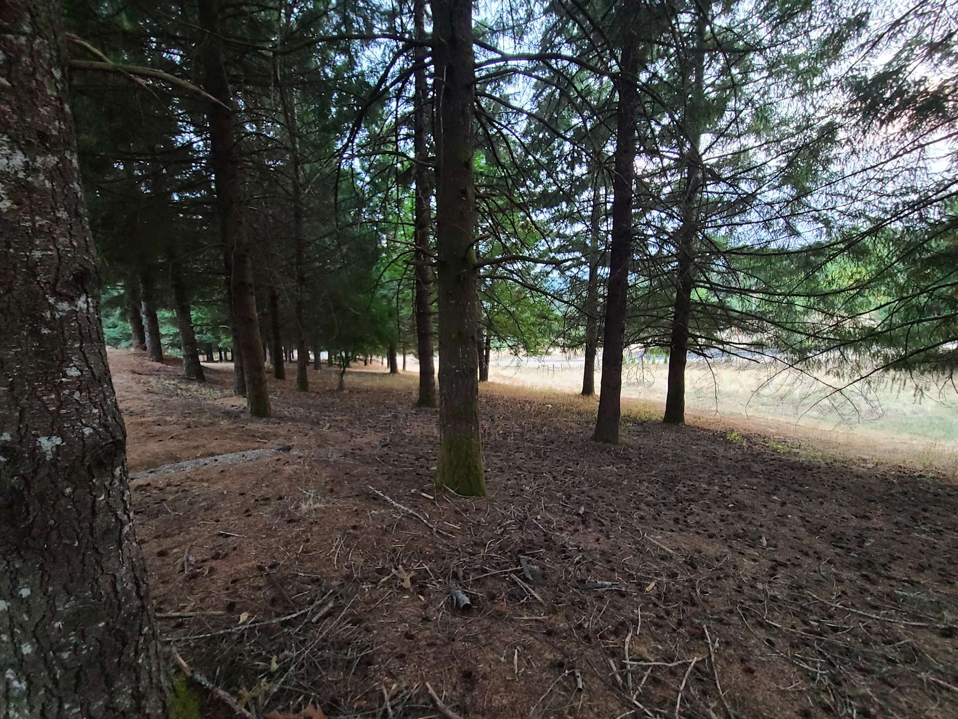 Hagg Lake Home Hipcamp in Gaston, Oregon