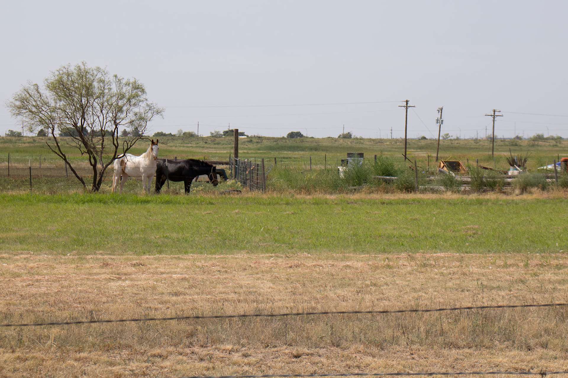 Farmhouse Flatland Hipcamp in Lubbock, Texas
